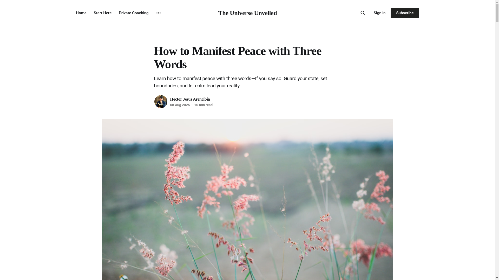 website screenshot of https://howtomanifestpeace.store/