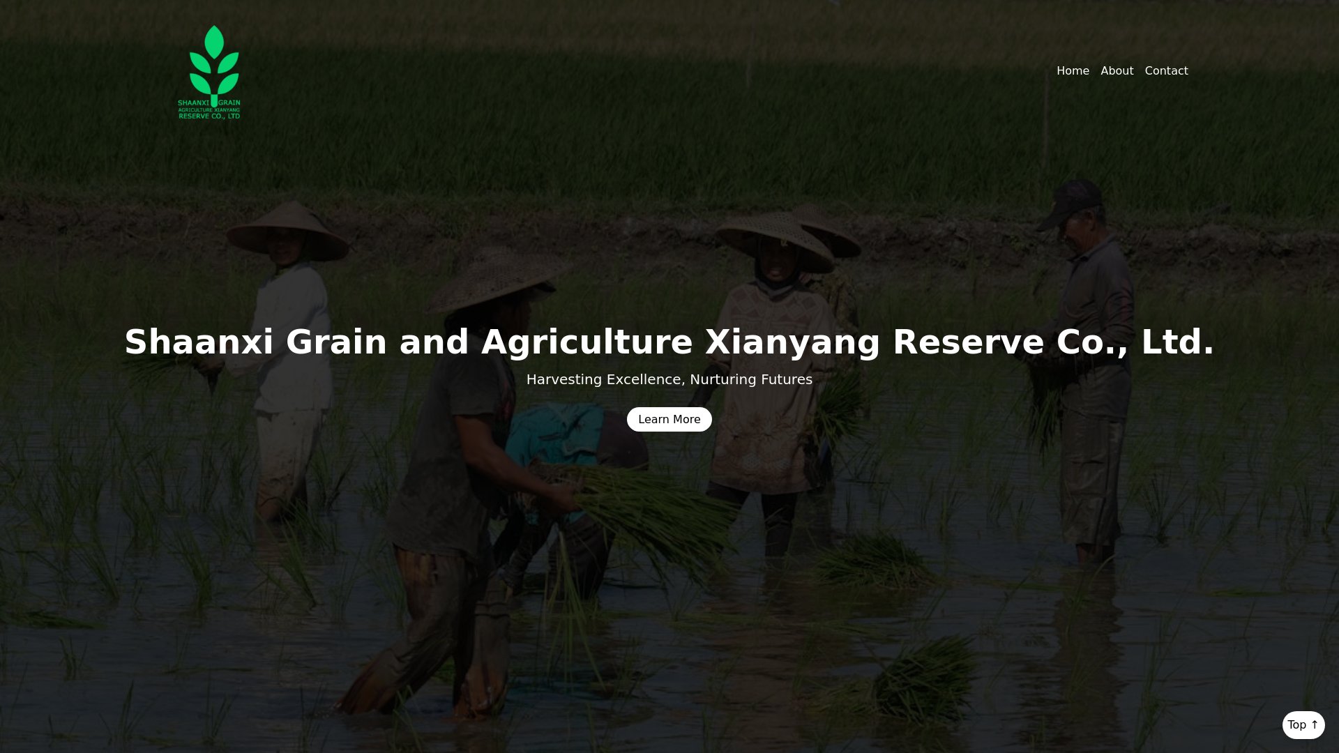 website screenshot of https://emilybella.xyz/