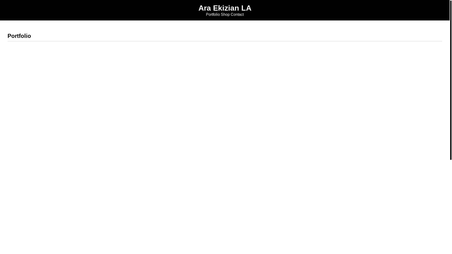 website screenshot of https://araekizian.com/