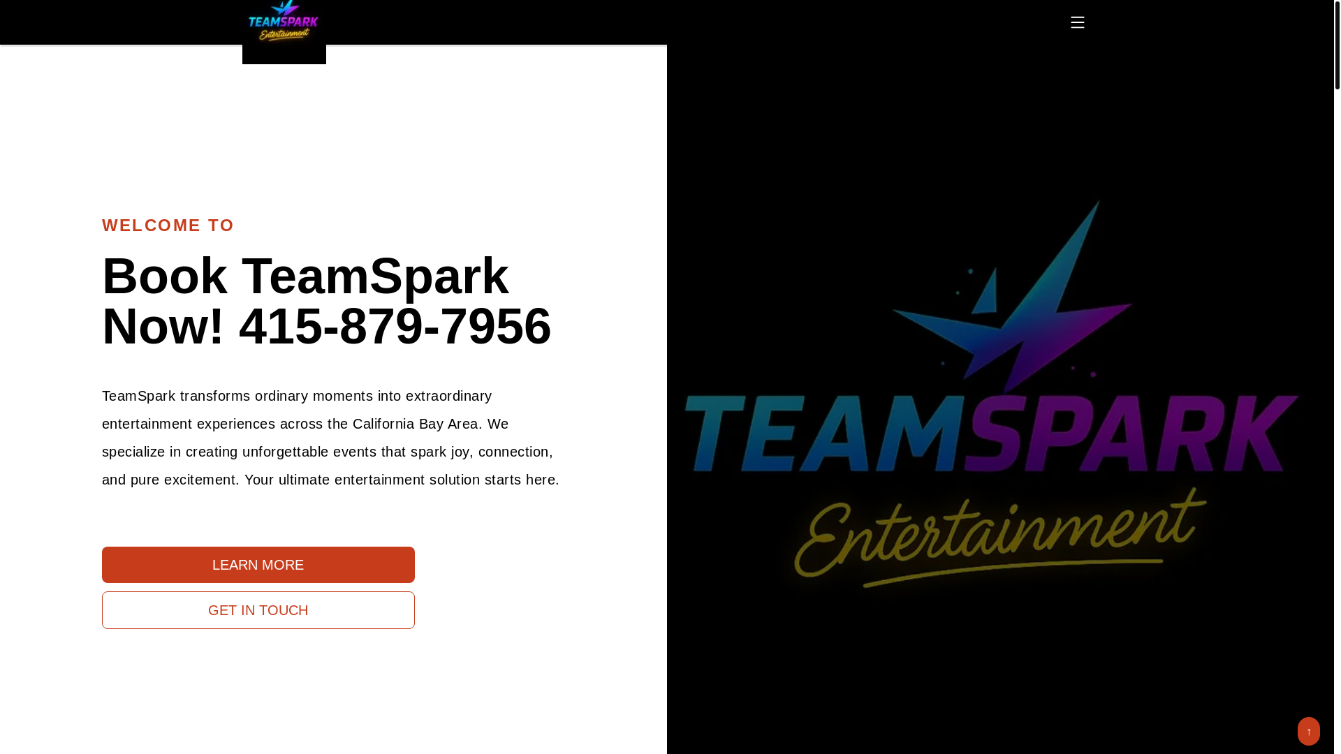 website screenshot of https://teamsparkevents.com/
