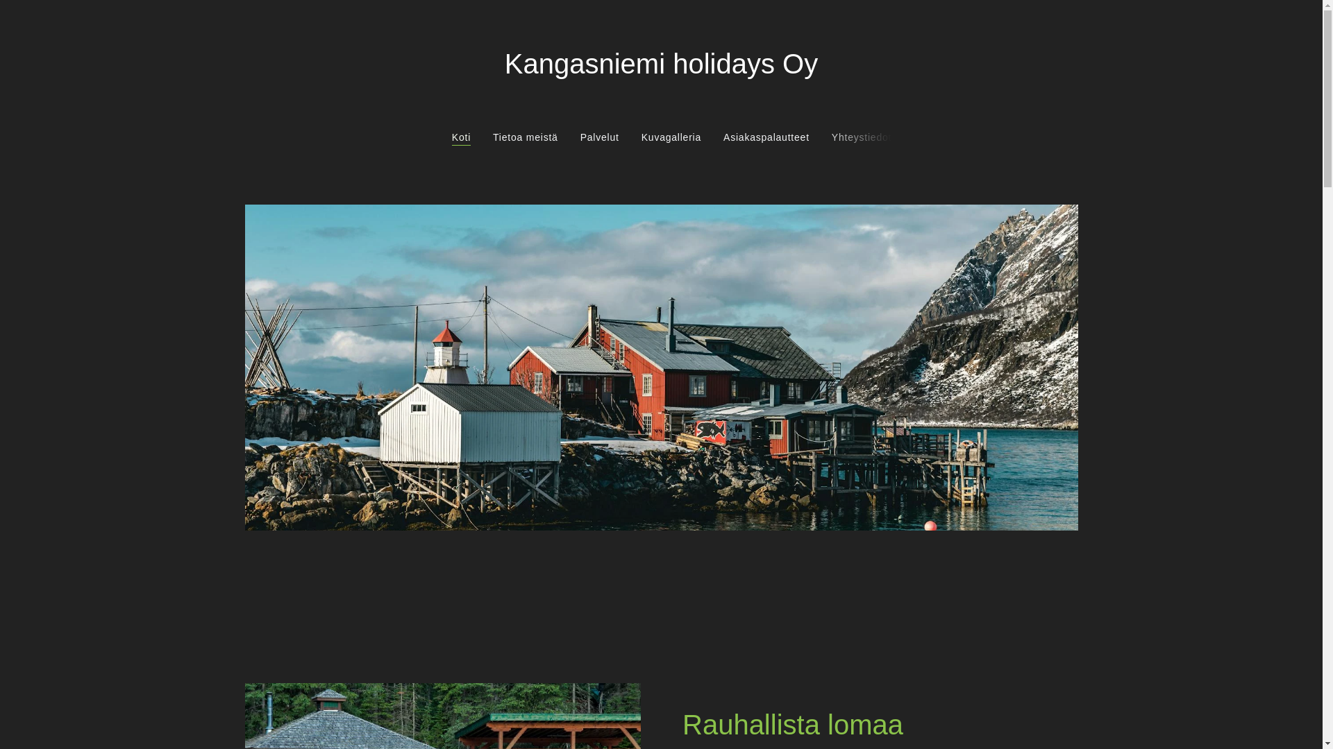 website screenshot of https://kangasniemiholidays.fi/