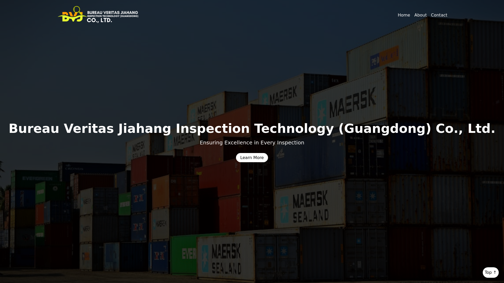 website screenshot of https://fasteverlymox.xyz/