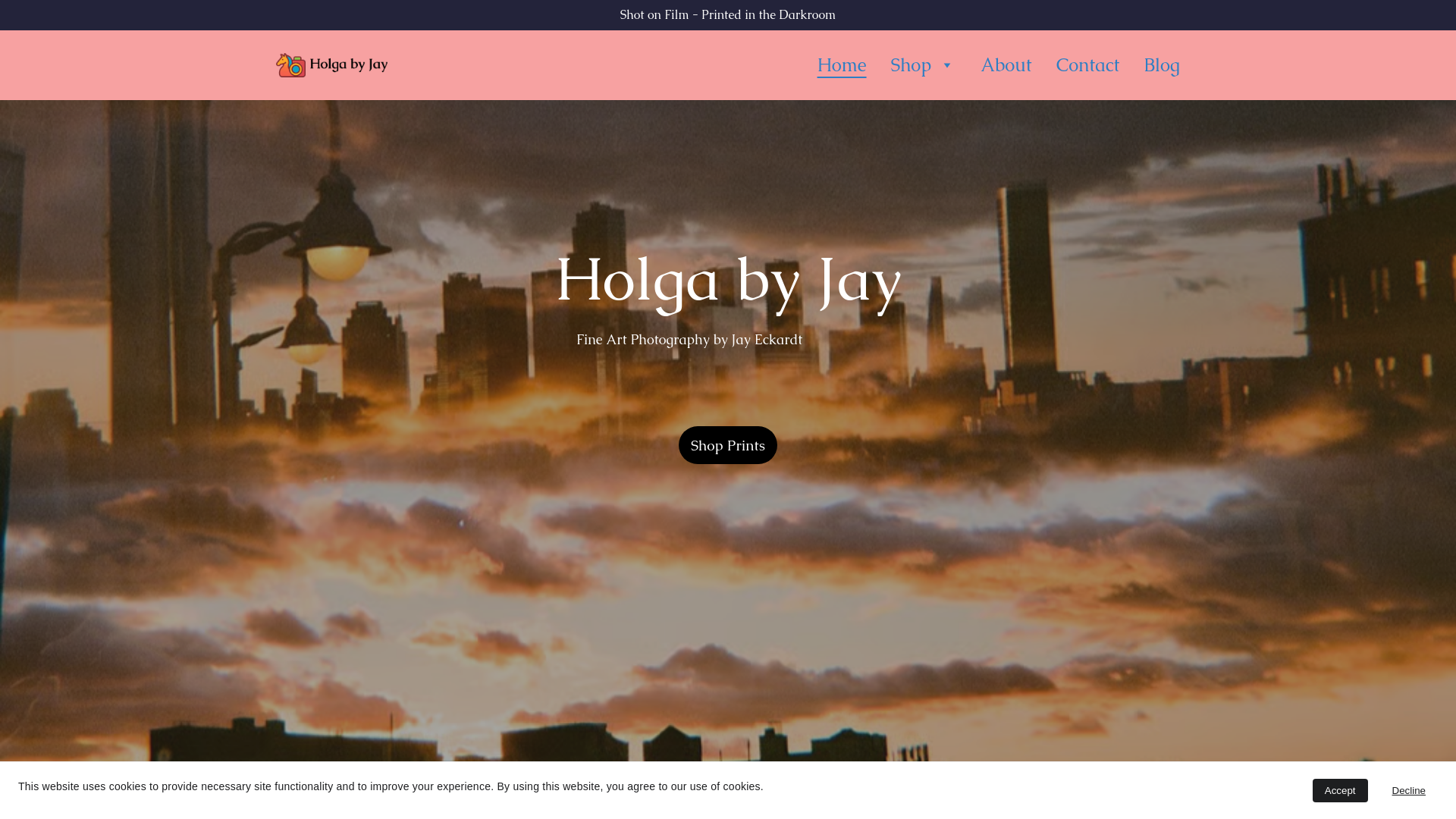 website screenshot of https://holgabyjay.com/
