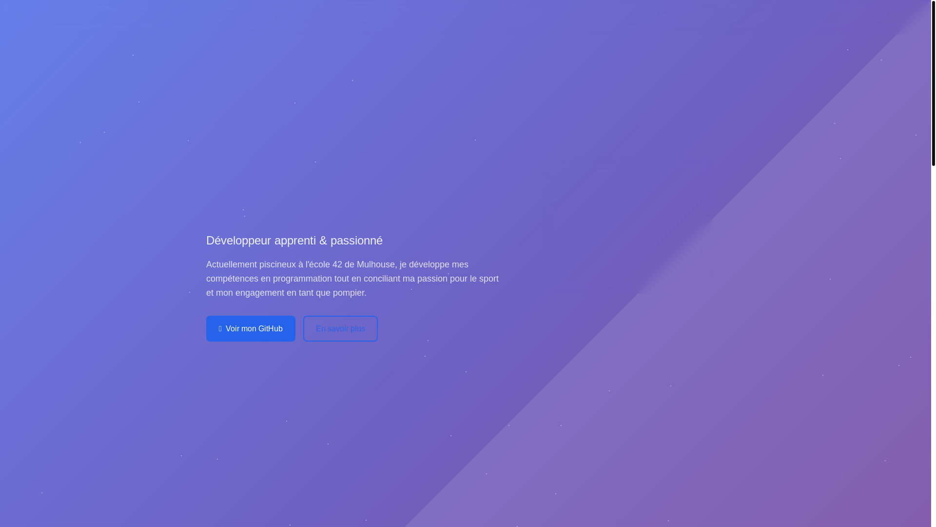 website screenshot of https://neichert.fr/