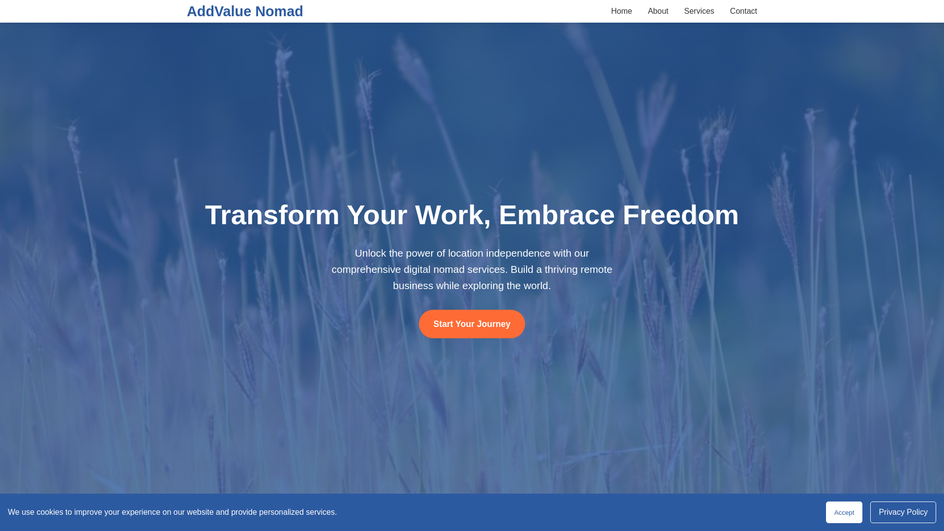 website screenshot of https://addvaluenomad.xyz/