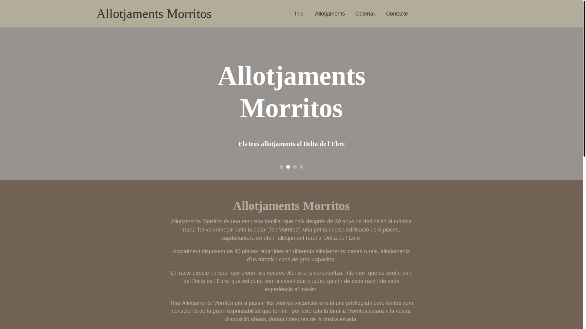 website screenshot of https://allotjamentsmorritos.es/