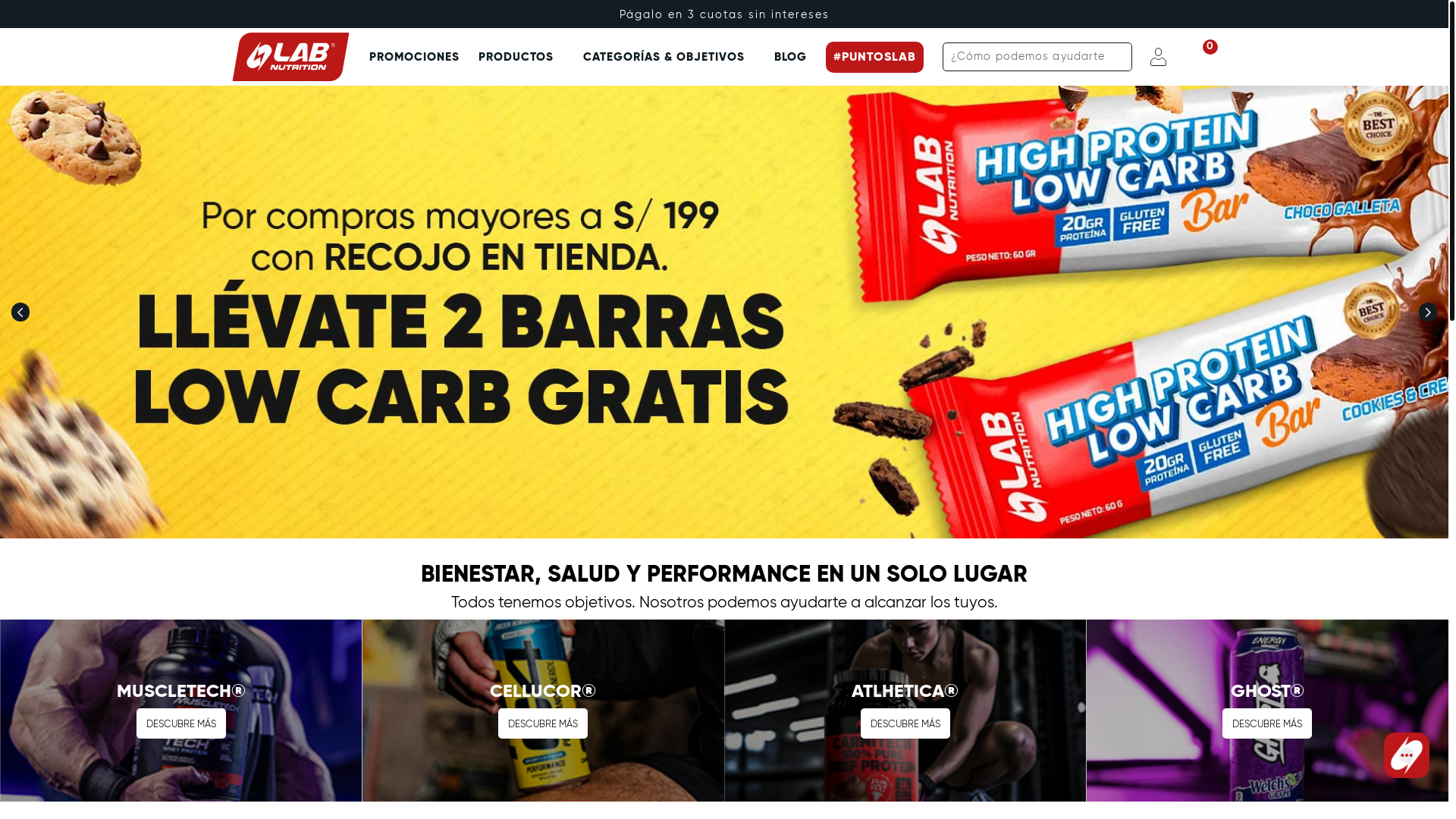 website screenshot of https://lab-nutrition.space/