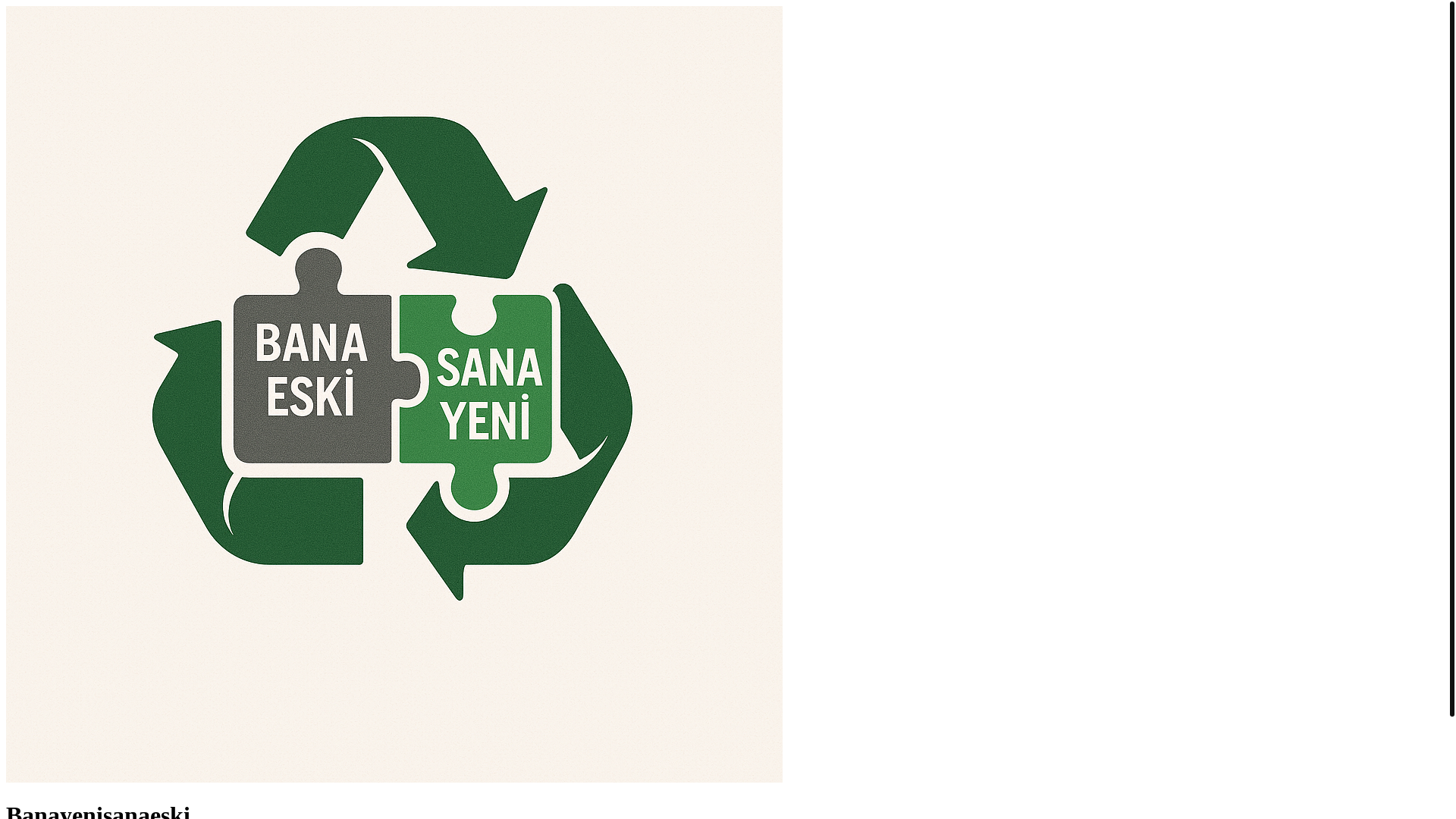 website screenshot of https://banayenisanaeski.com.tr/