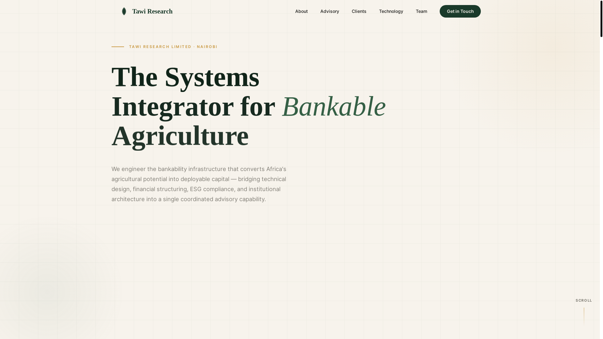 website screenshot of https://tawiconsulting-com.pages.dev/