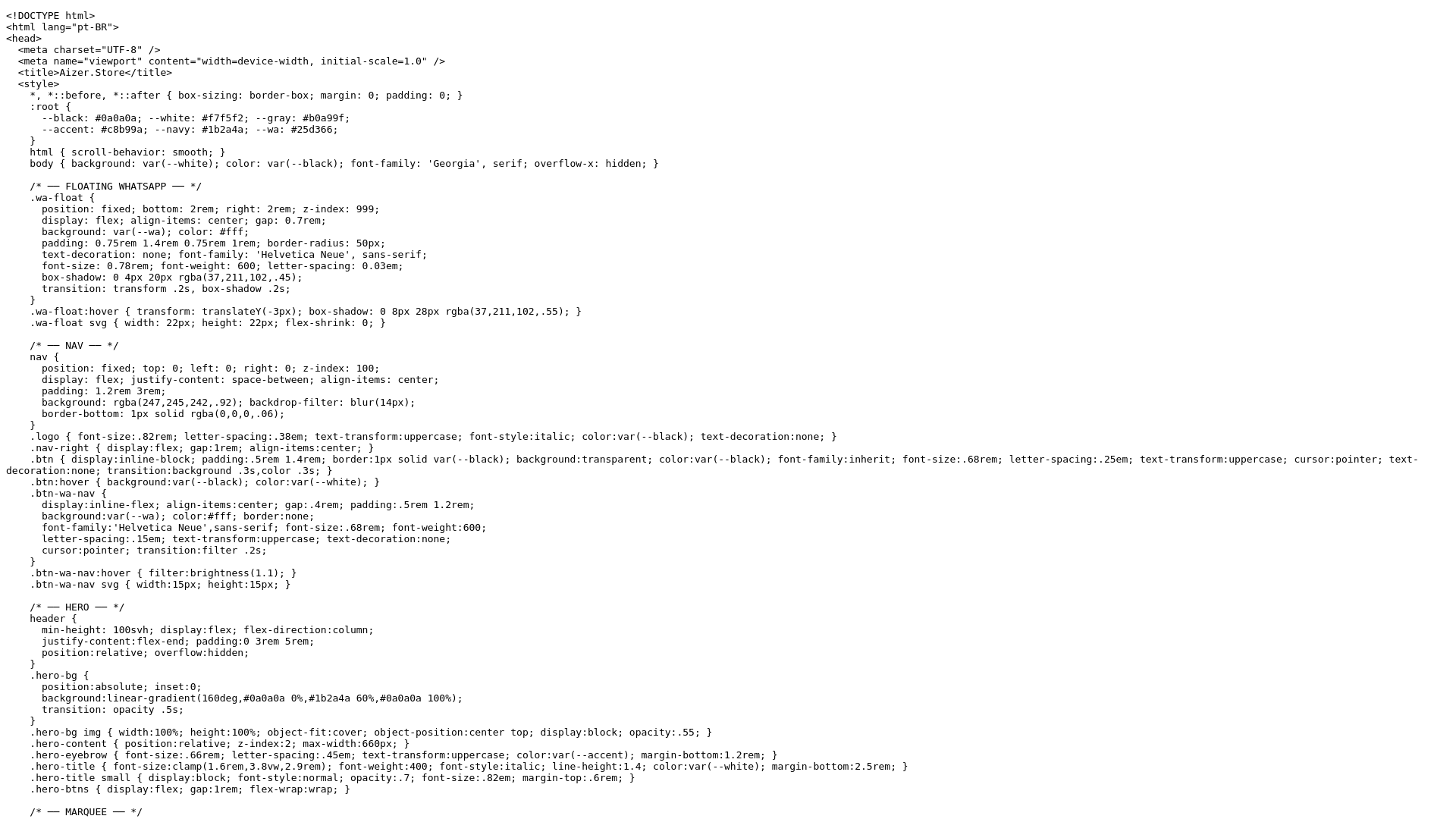 website screenshot of https://aizerstore.com/