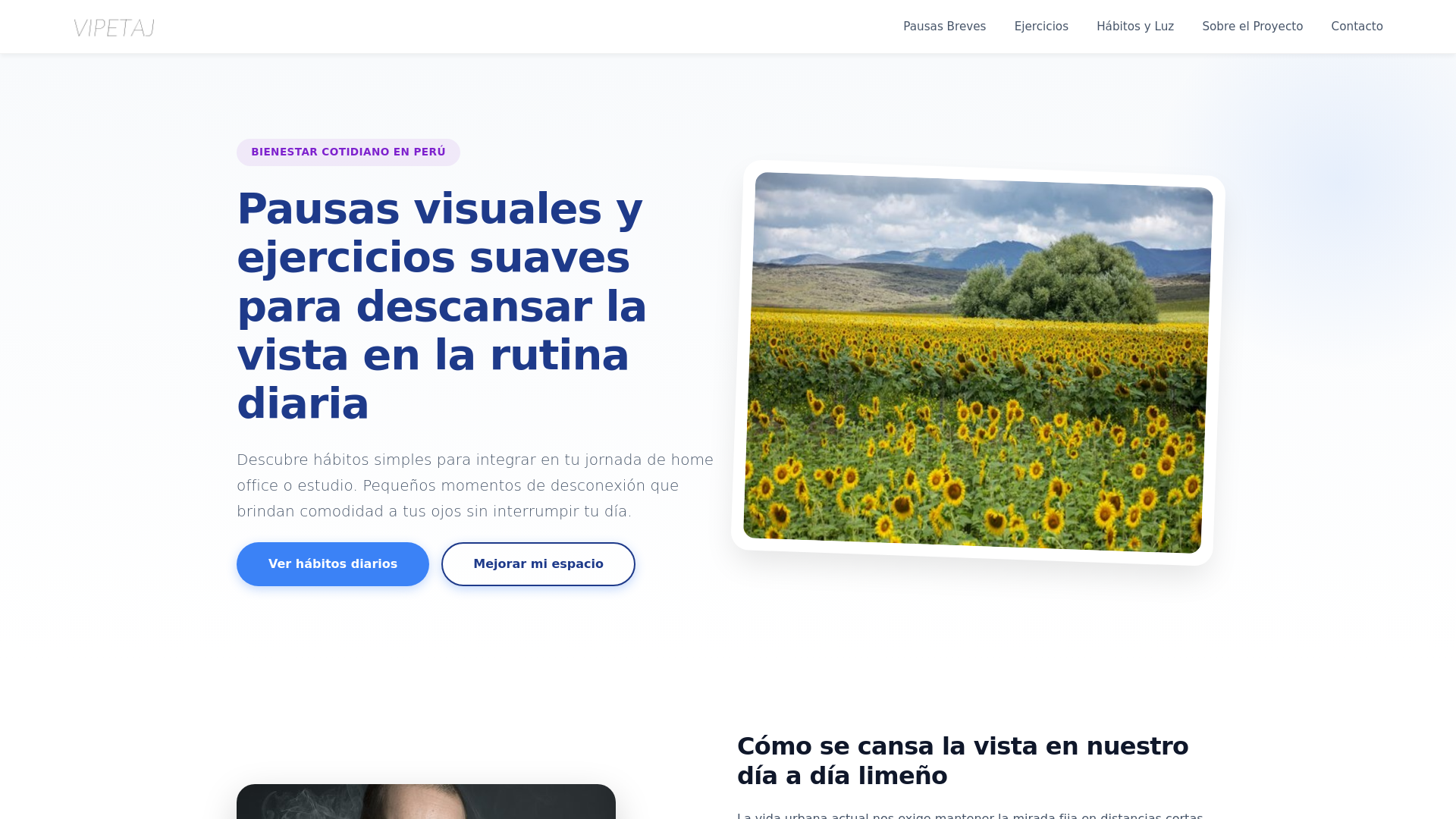 website screenshot of https://vipetaj.icu