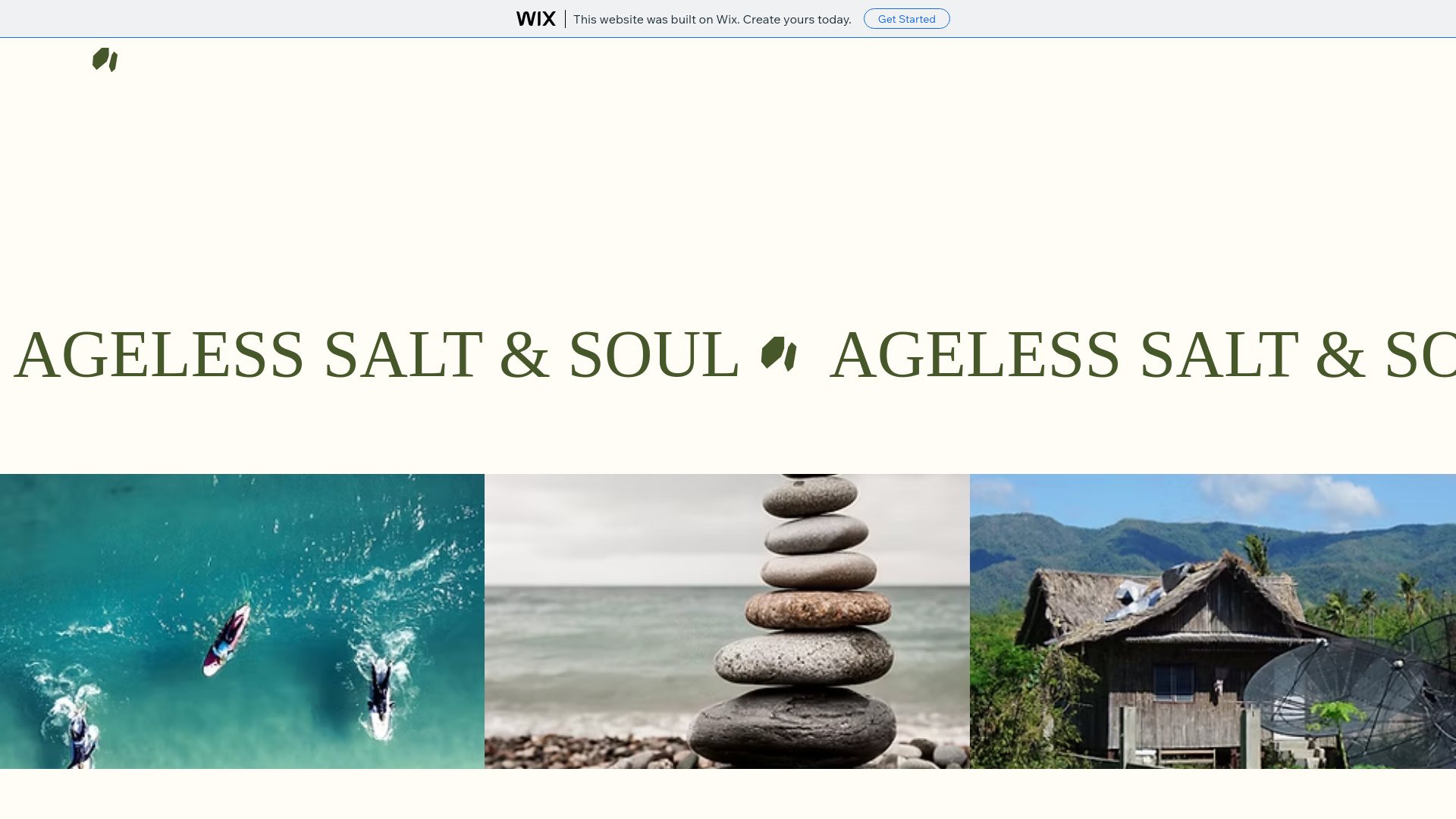 website screenshot of https://agelesssaltsoul.com