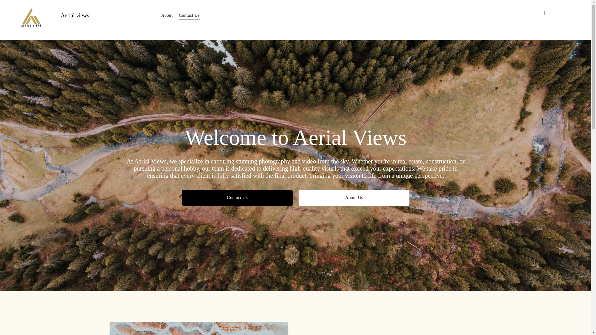 website screenshot of https://aerialviewsllc.net/