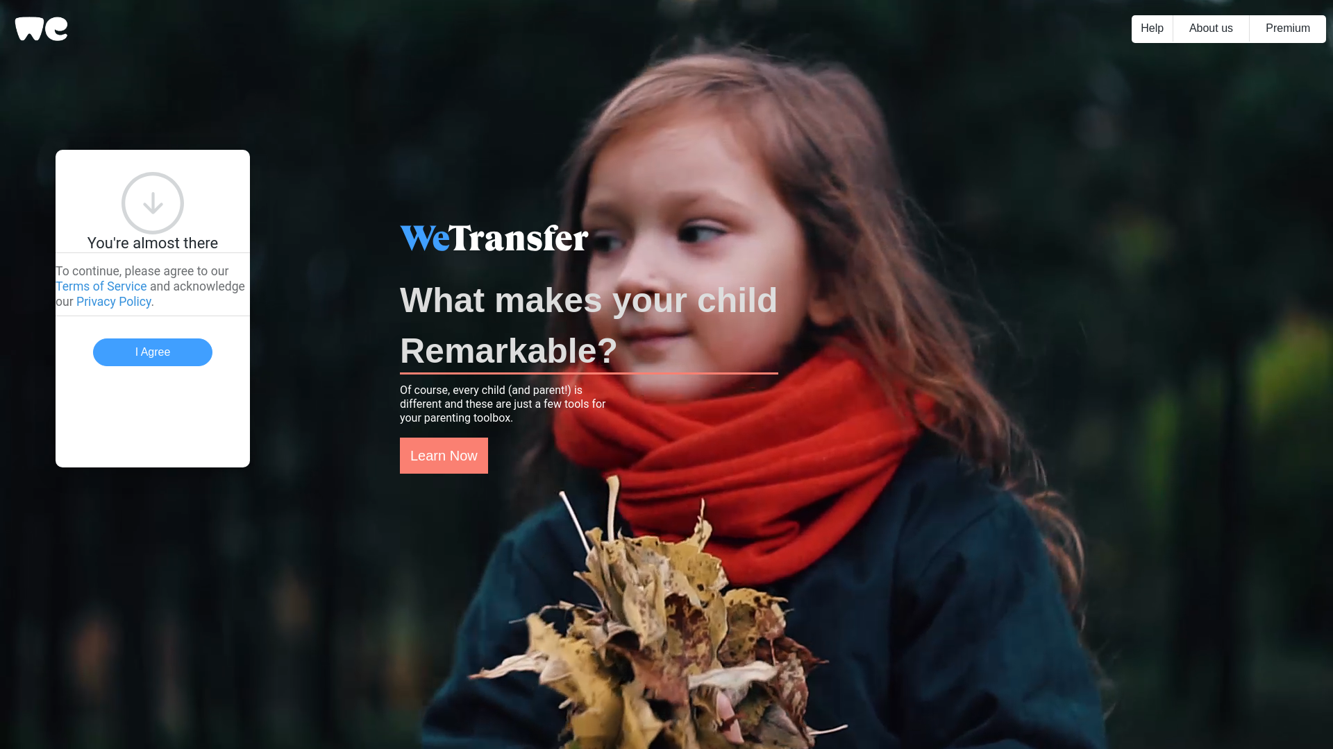website screenshot of https://wetransfer2024-basarilog-4-newwork5hatgmail-com.pages.dev/
