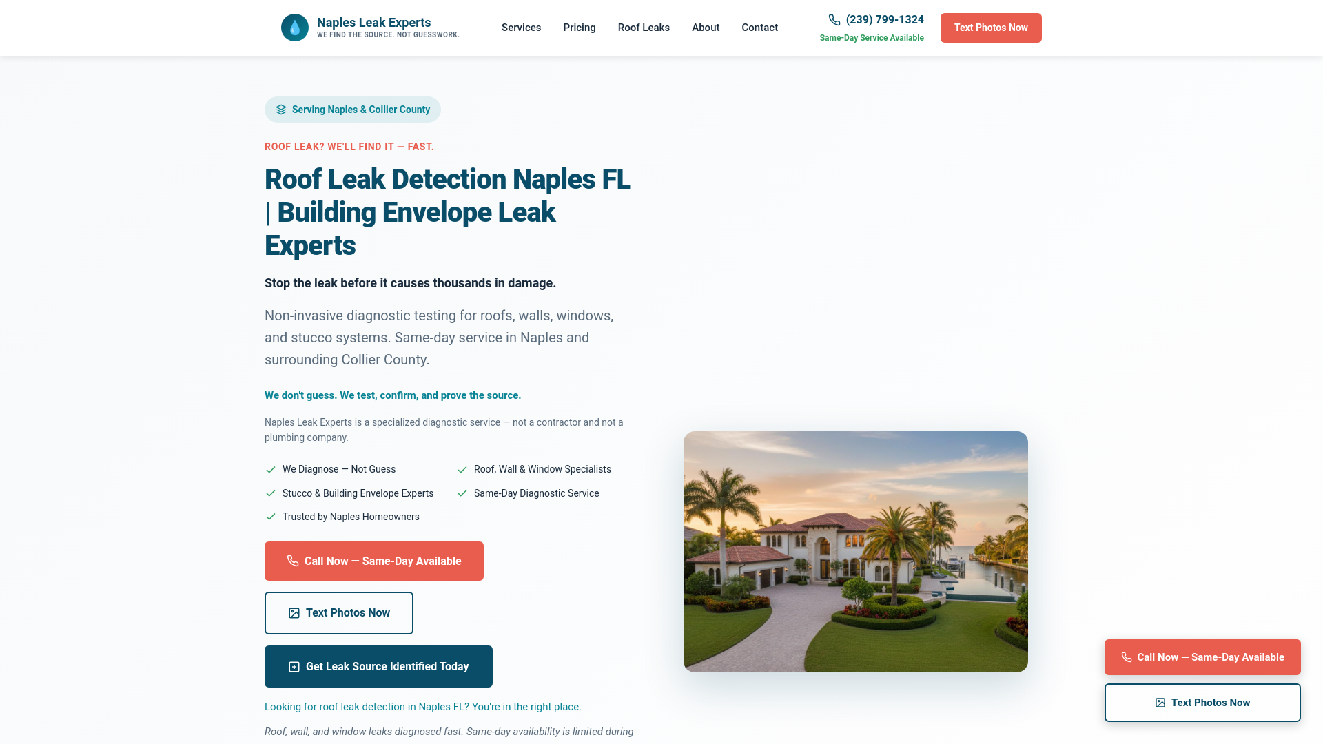 website screenshot of https://naplesleakexperts.pages.dev/