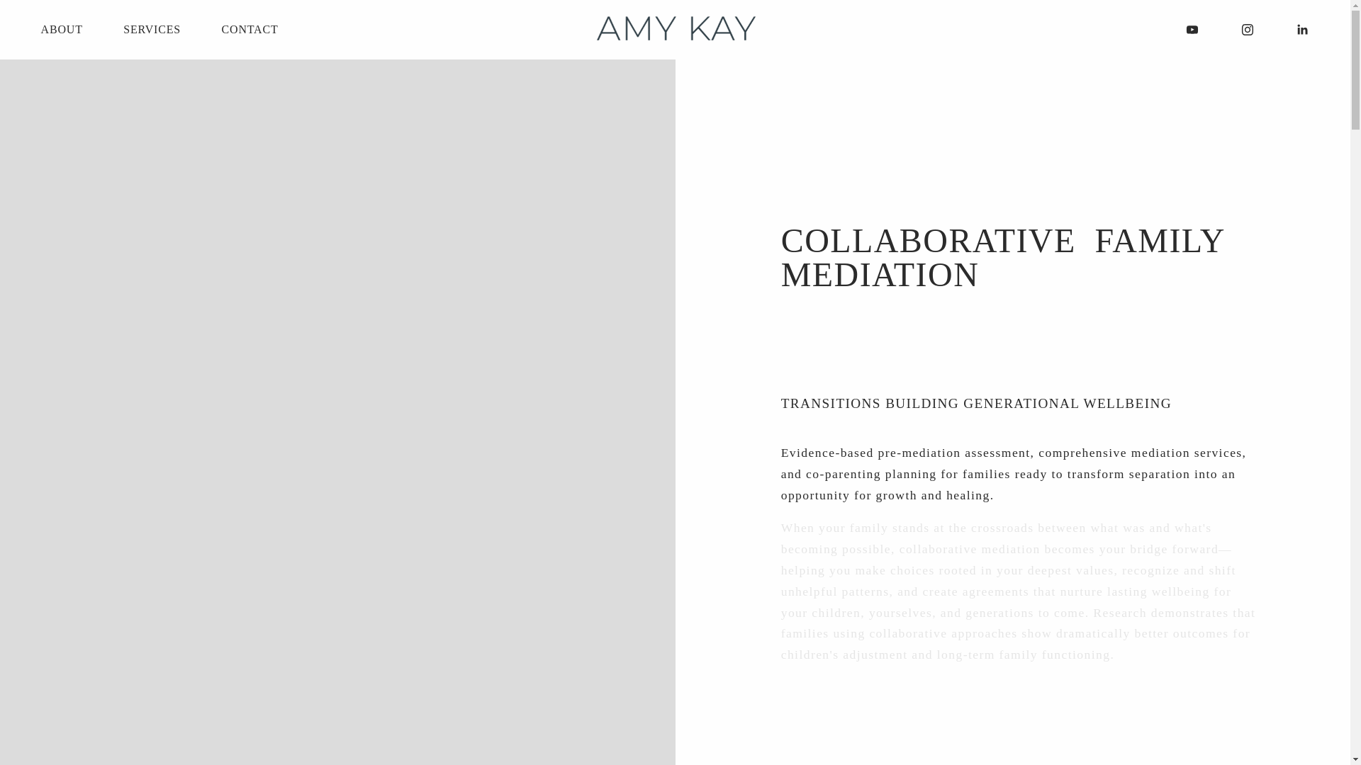 website screenshot of https://amytourte.com/