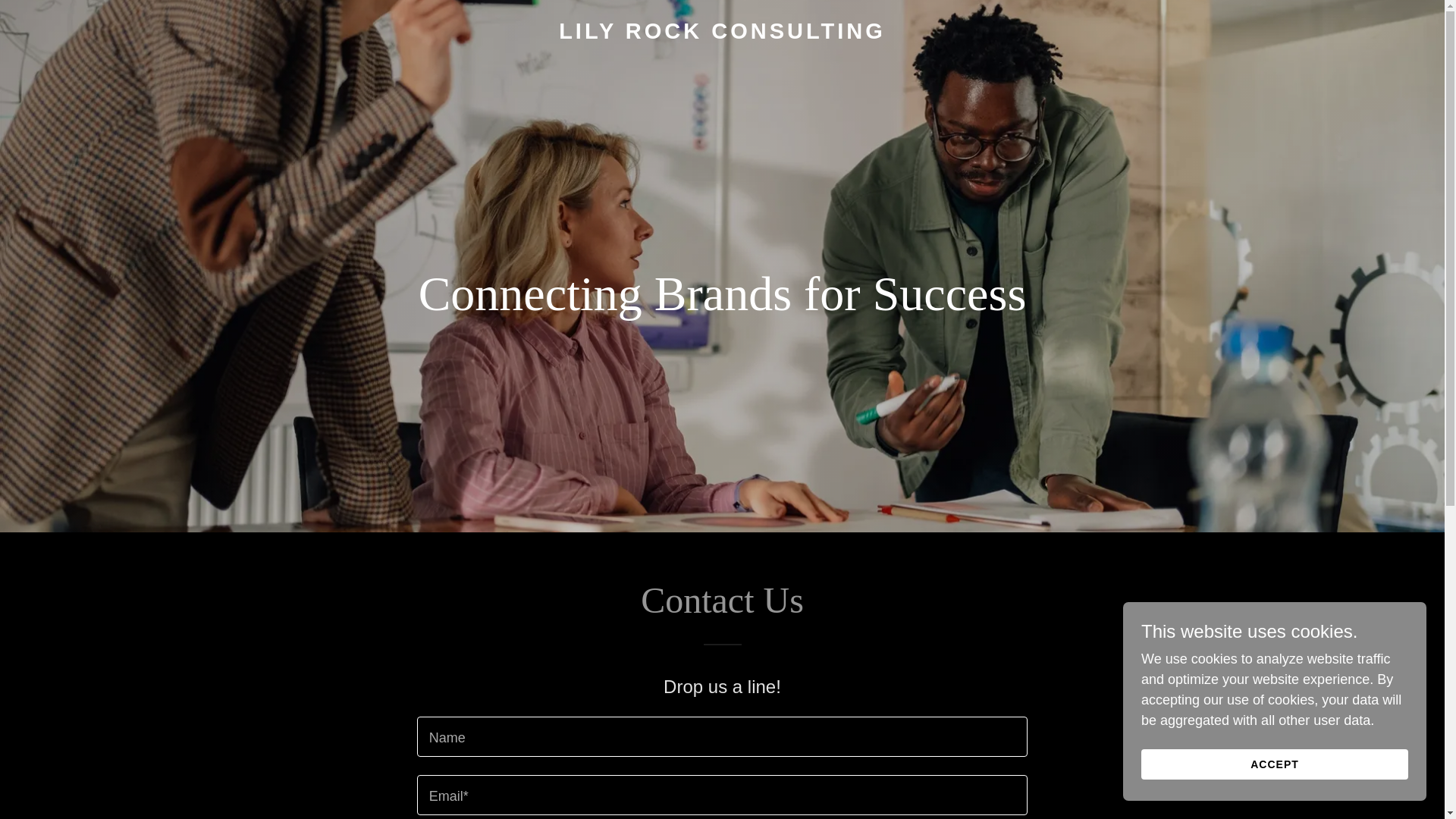 website screenshot of https://lilyrock.co/
