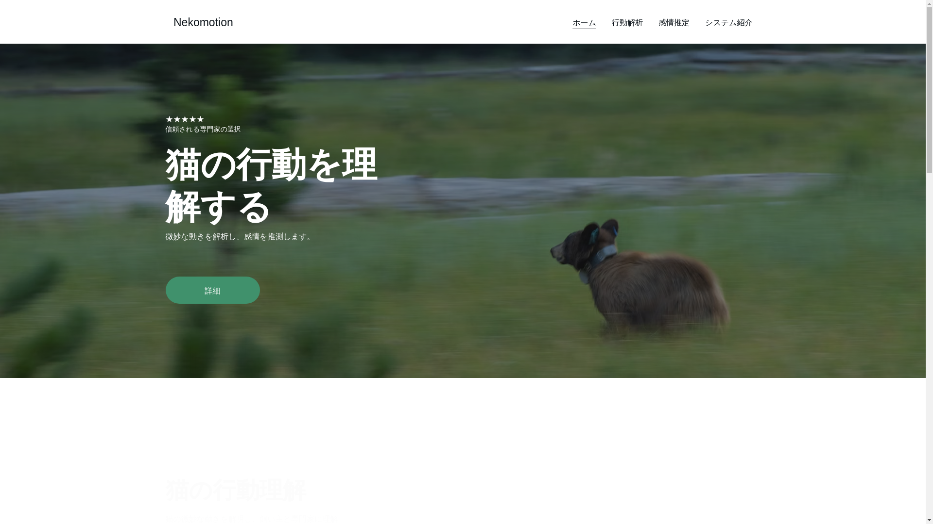 website screenshot of https://nekomotion.digital/