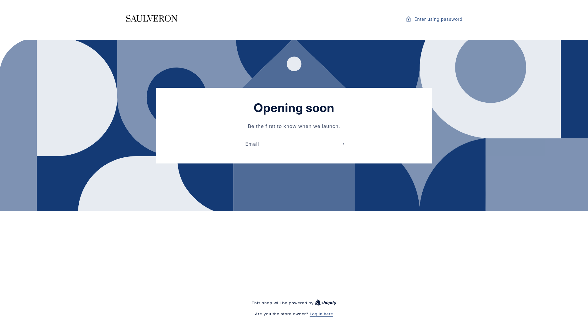 website screenshot of https://saulveron.com/