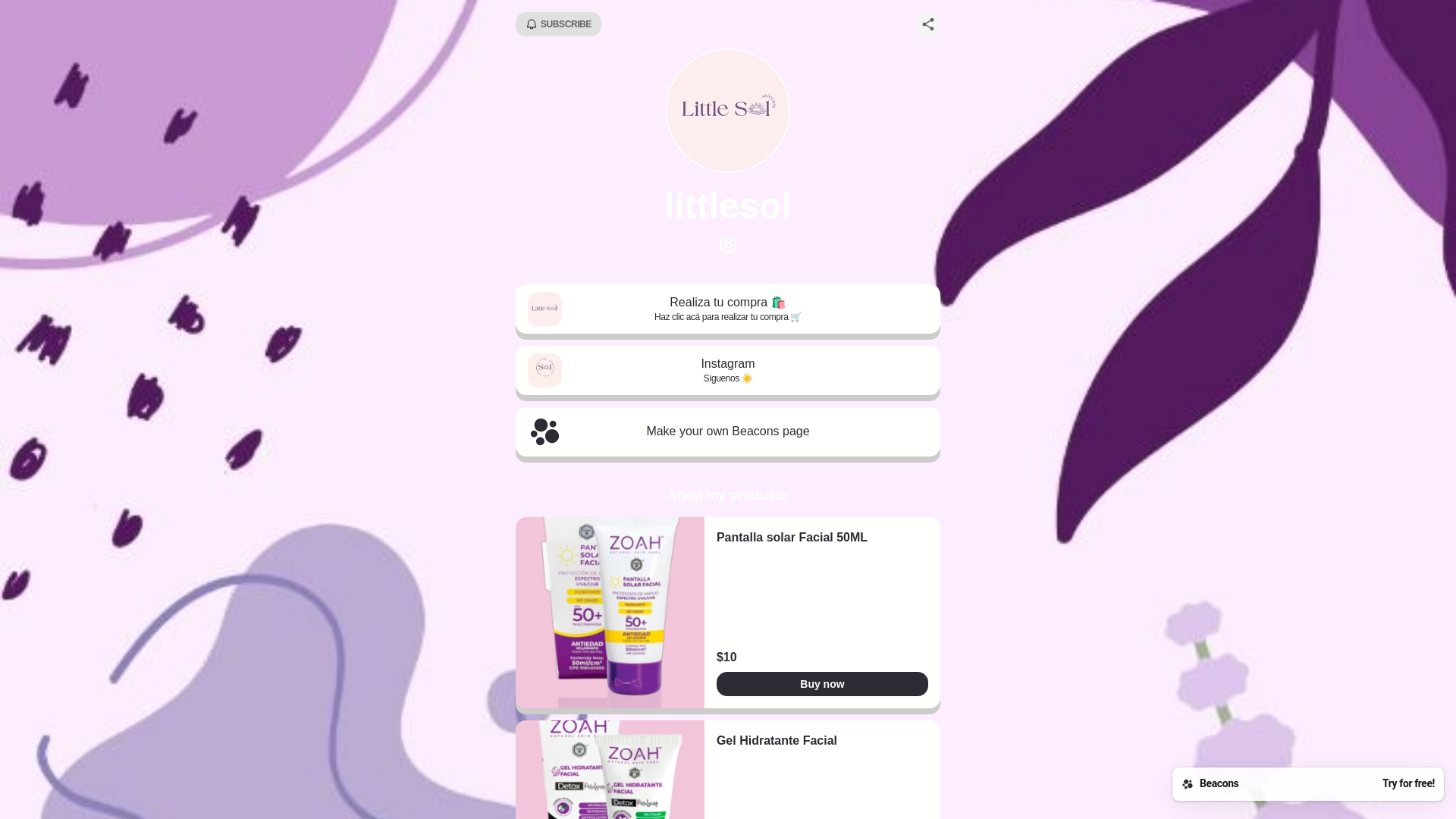 website screenshot of https://littlesol.store
