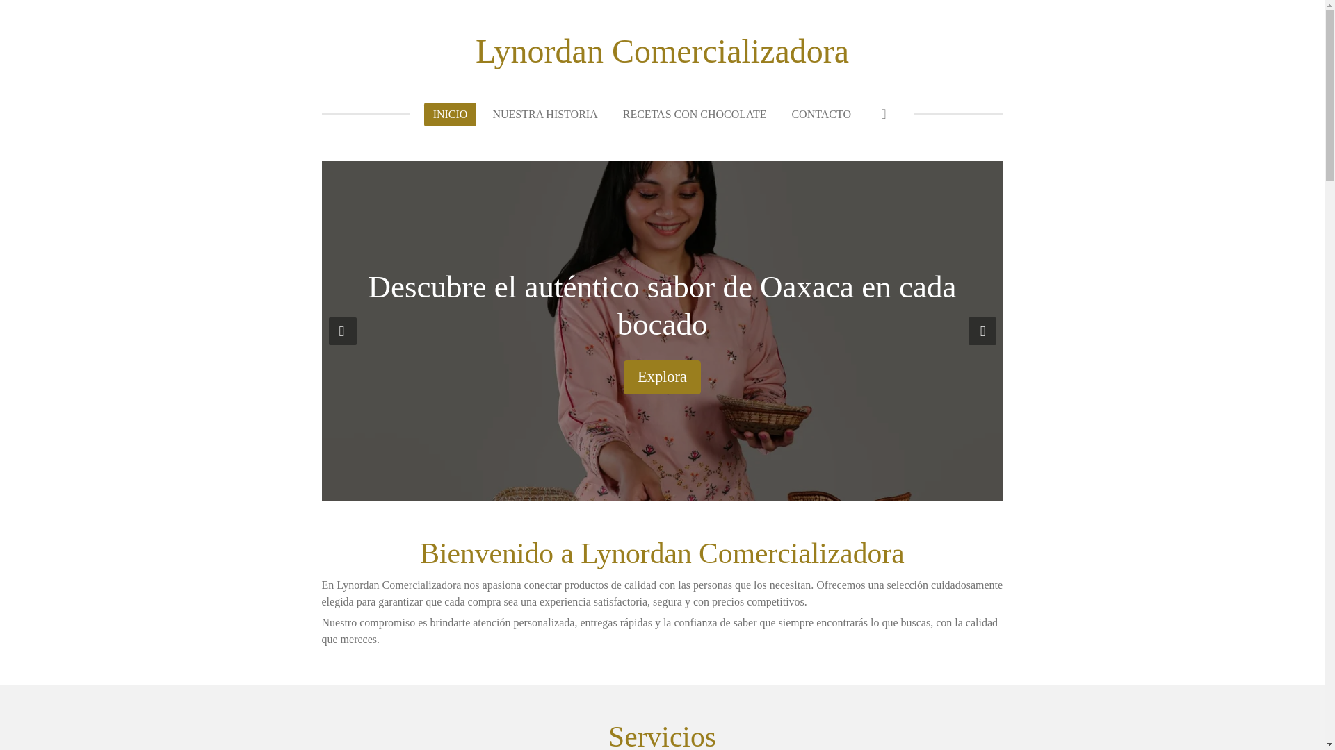 website screenshot of https://lynordancomercializadora.com/