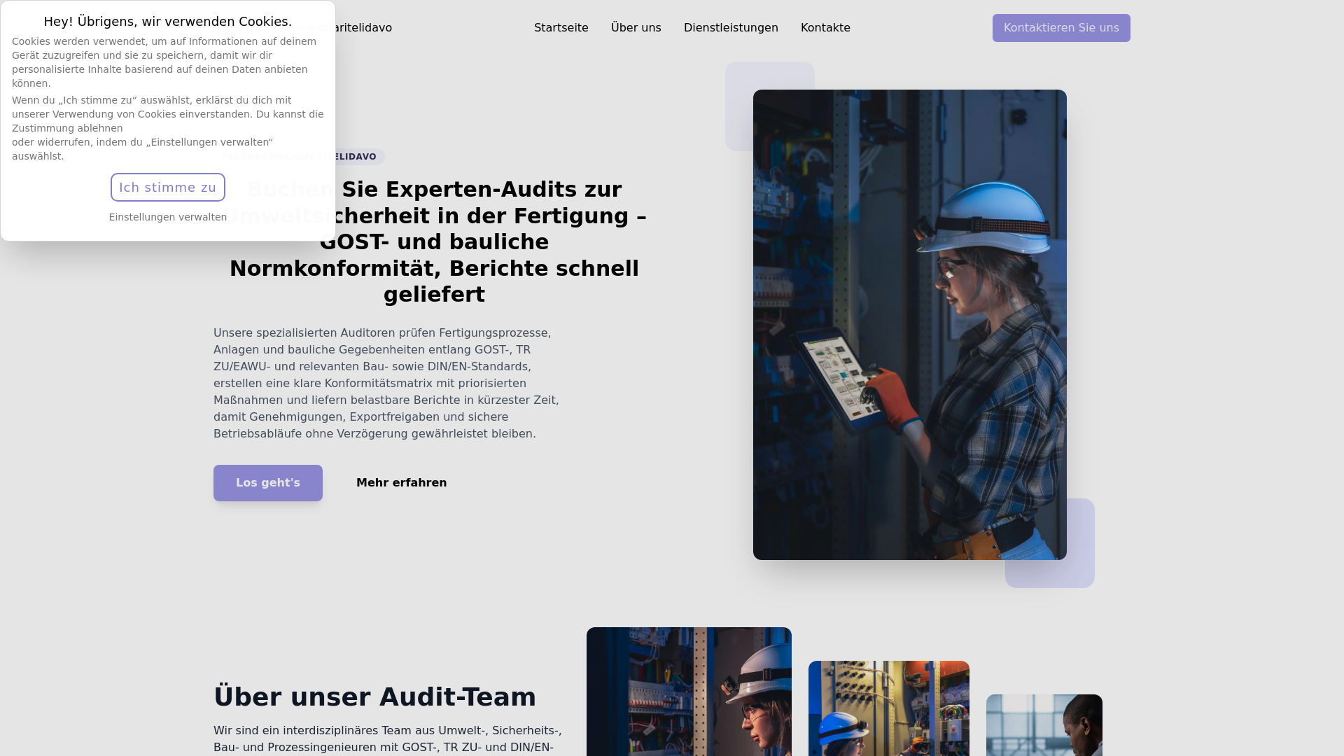 website screenshot of https://palodexomexofaritelidavo.digital/