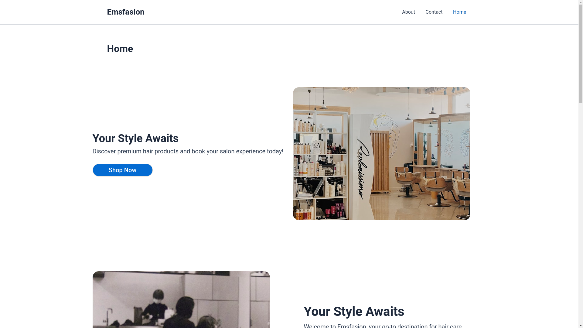 website screenshot of https://emsfashion.be/