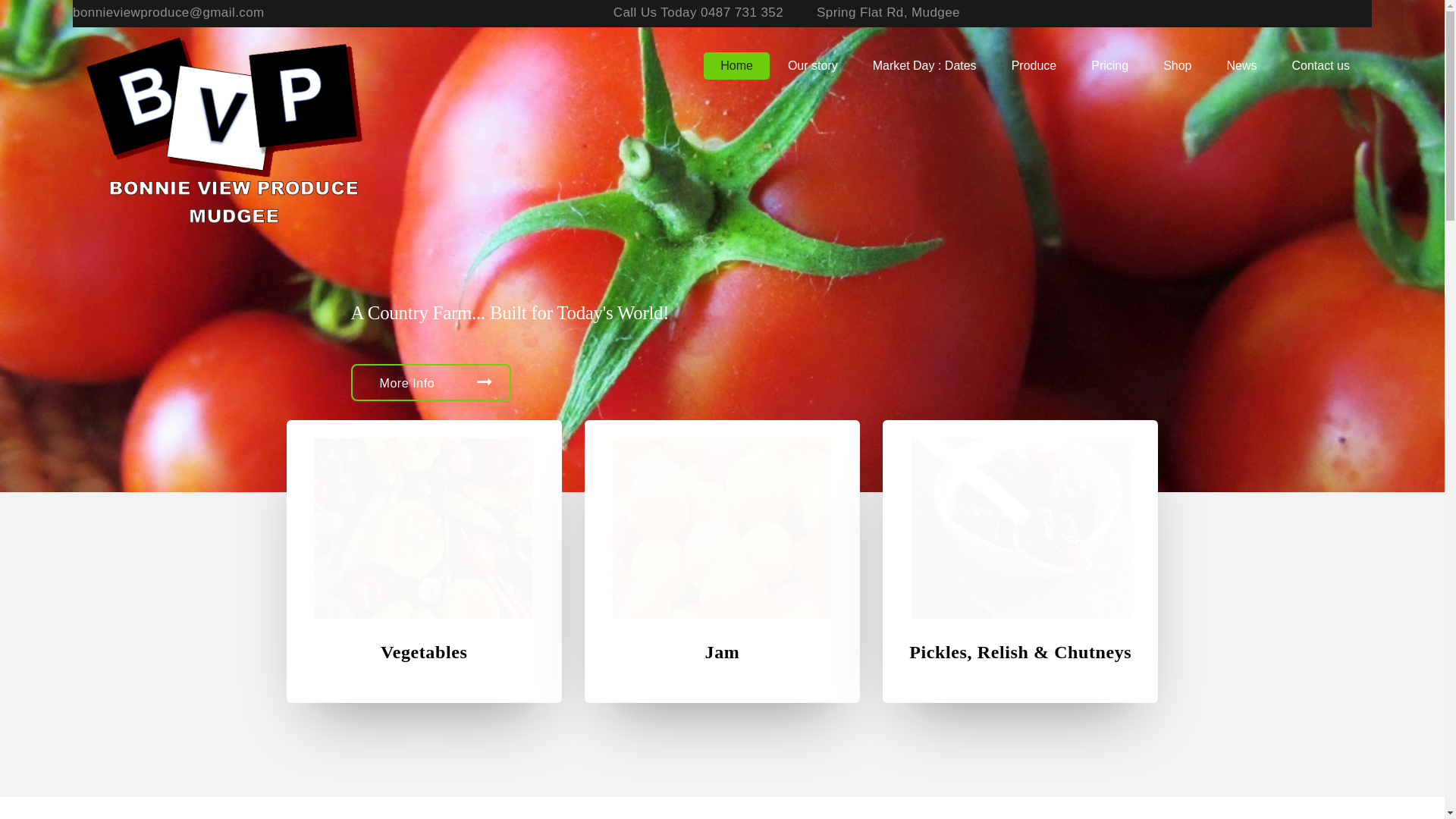 website screenshot of https://bonnieviewproduce.online/