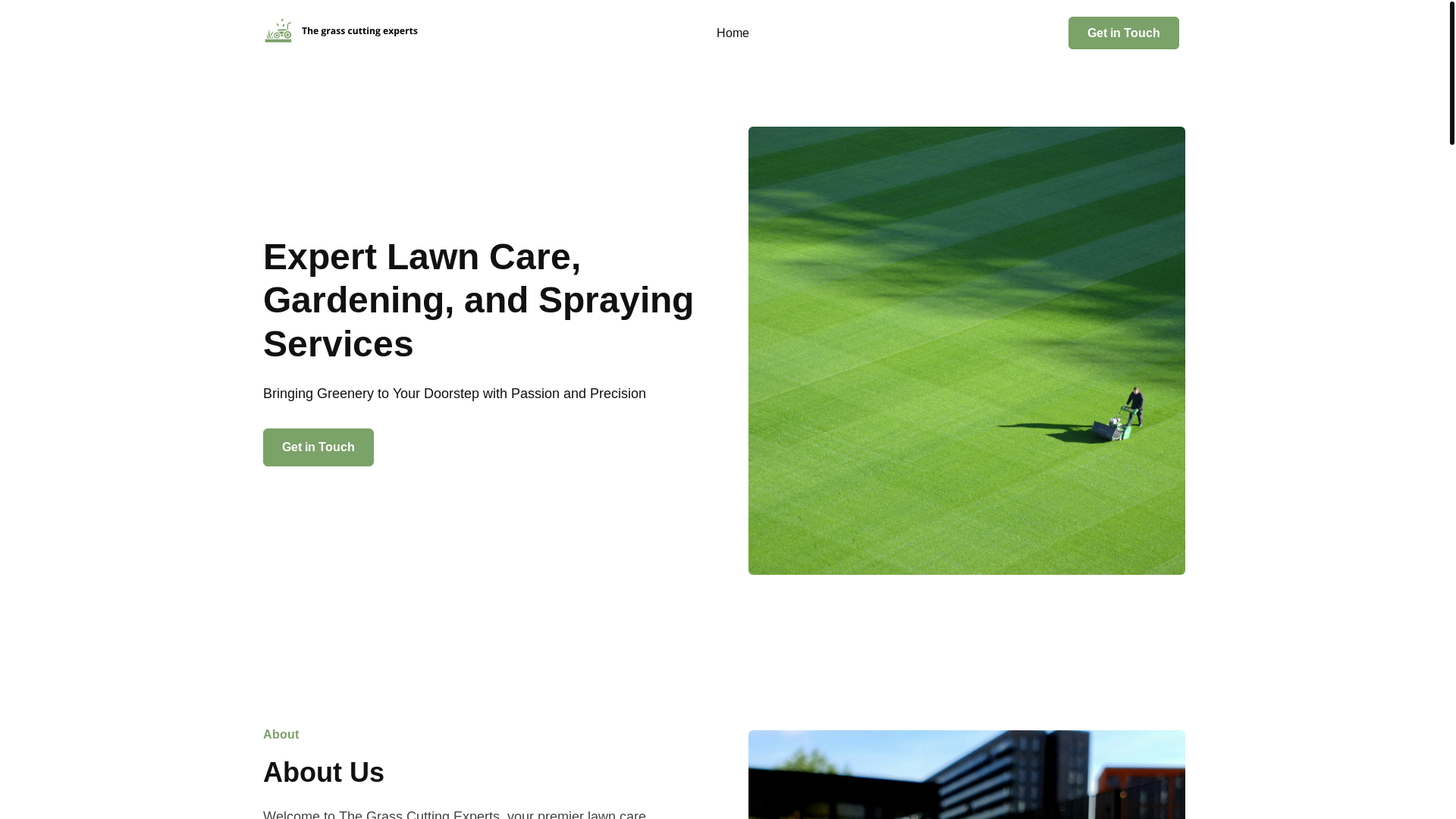 website screenshot of https://thegrasscuttingexperts.com.au/