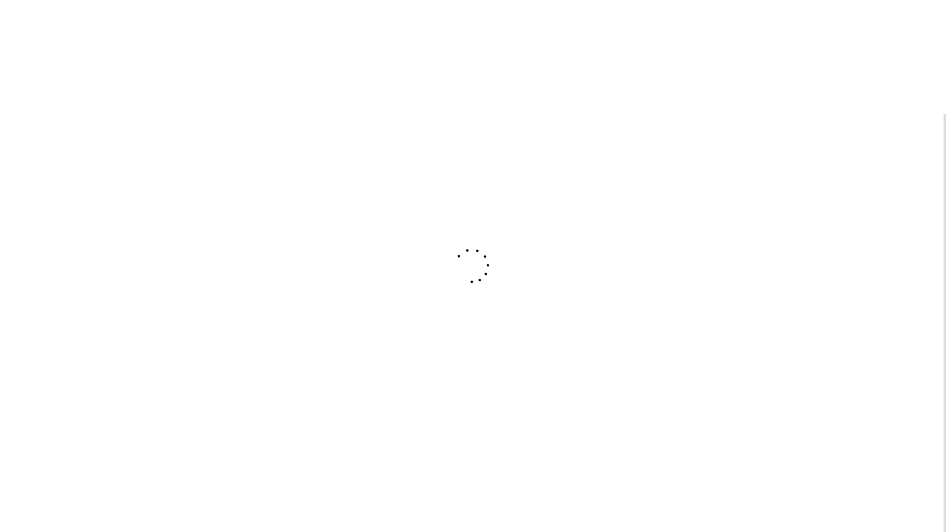 website screenshot of https://funshopeters.de/