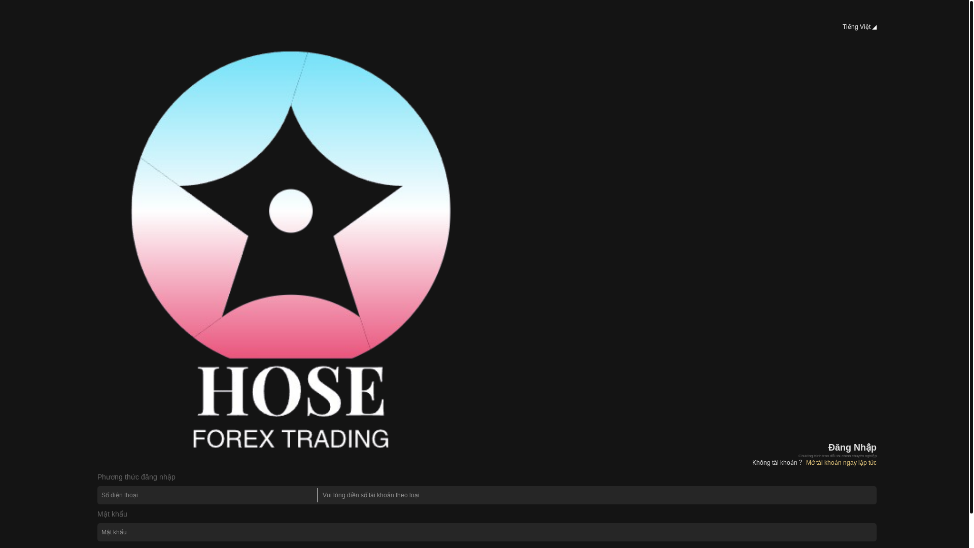 website screenshot of https://hsx-vnsvip.top/