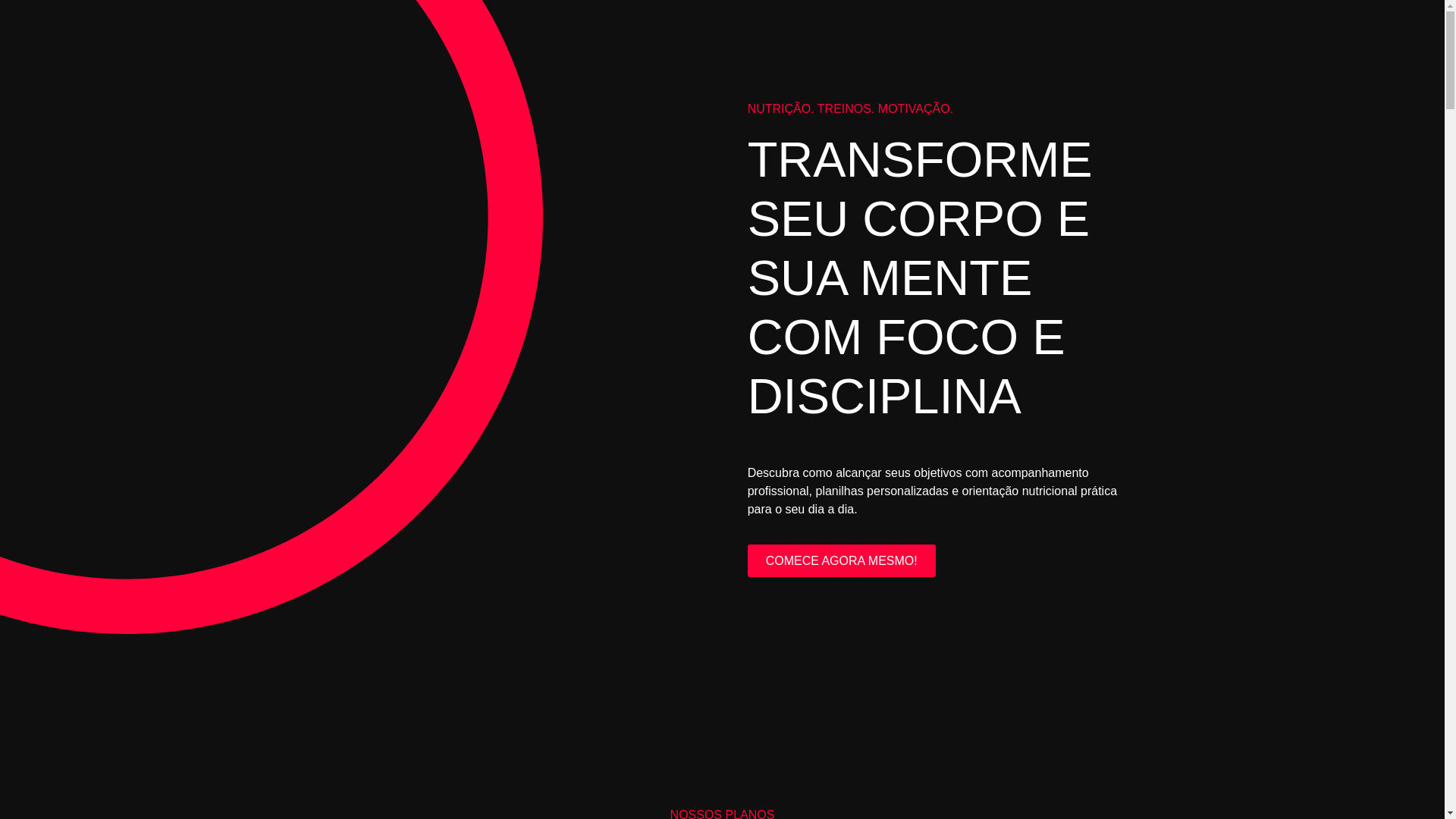 website screenshot of https://treinadorismaelsantos.com.br/