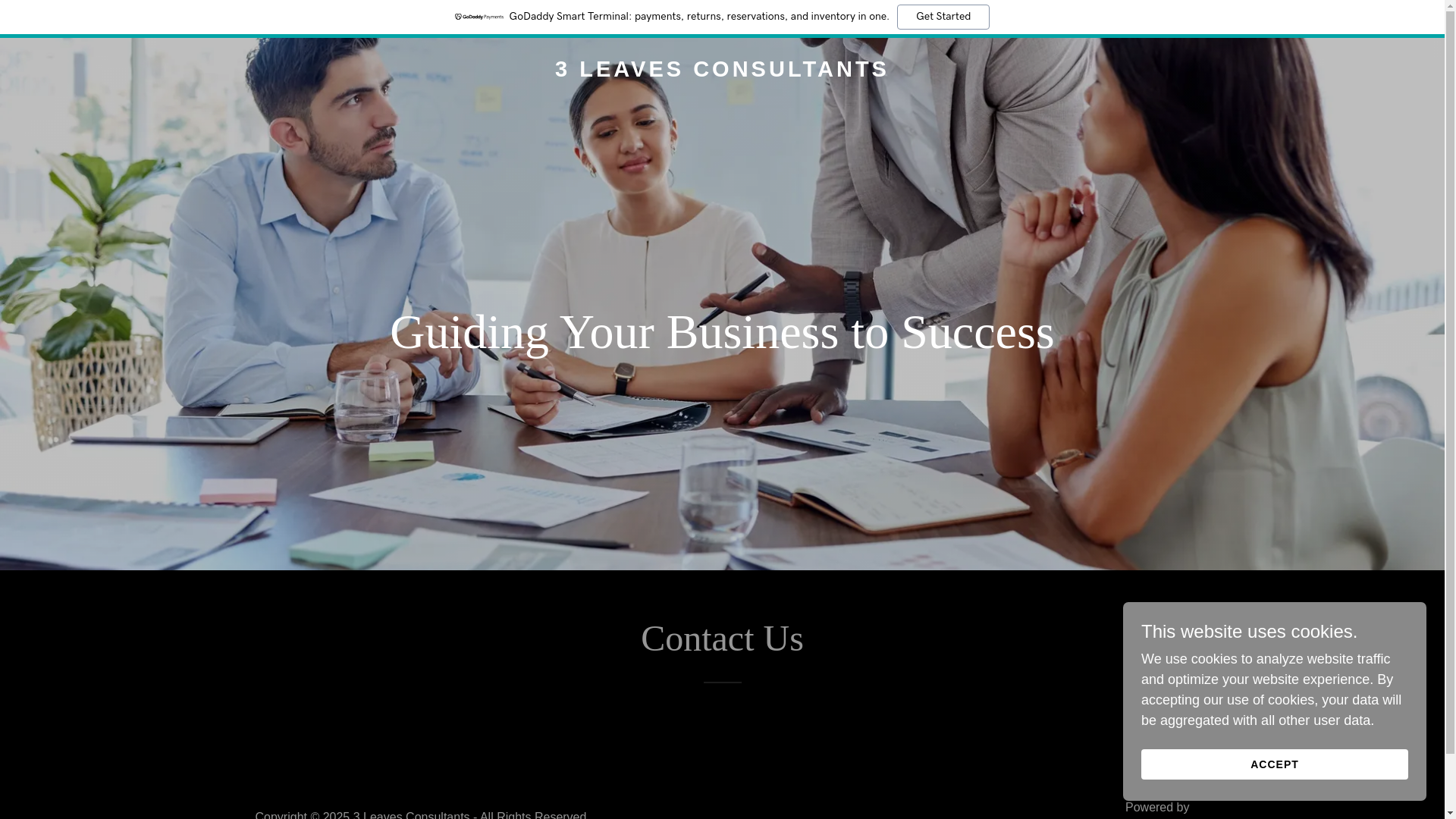 website screenshot of https://3leavesconsultants.com/