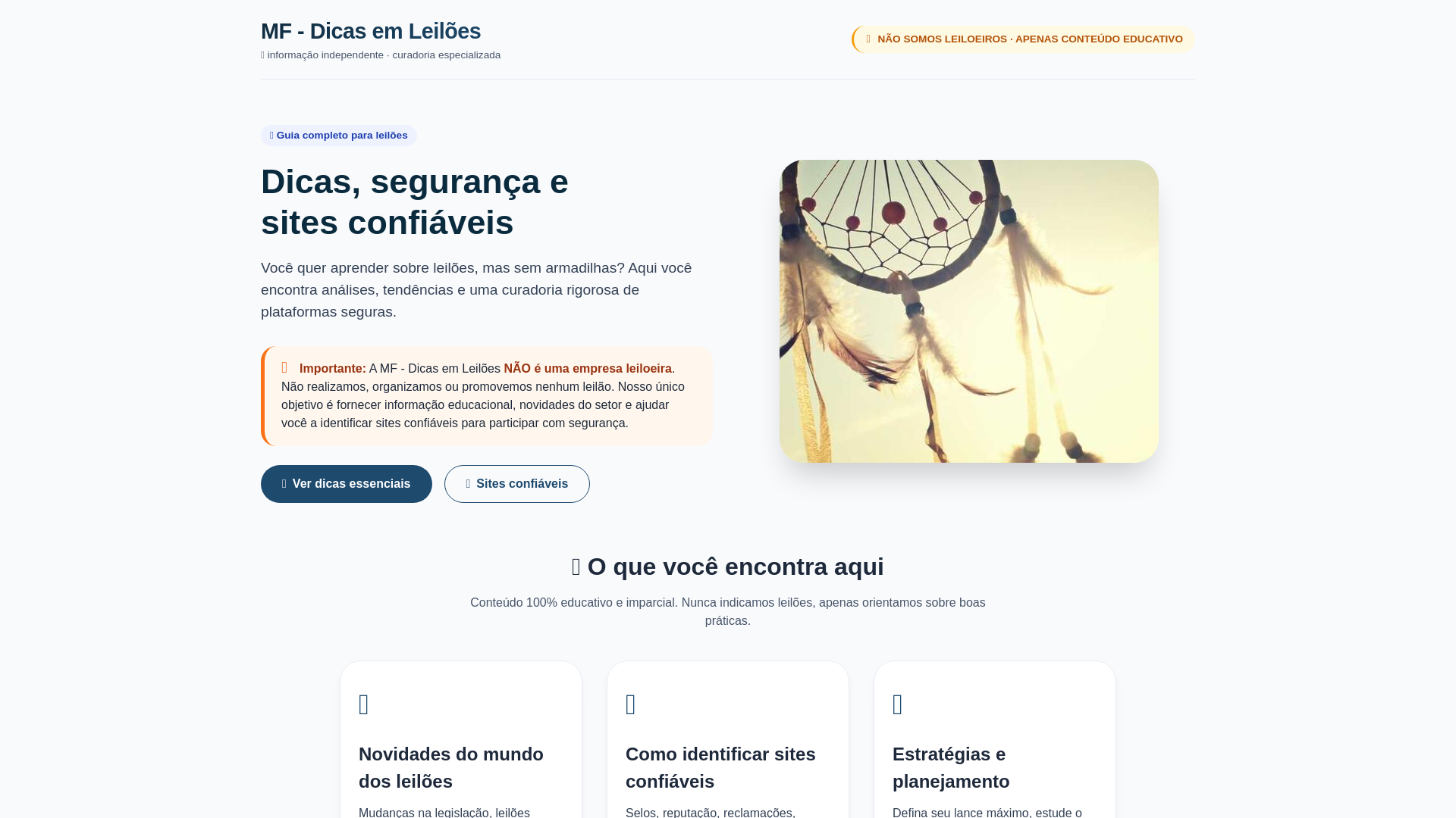 website screenshot of https://mfoficialonline.com/