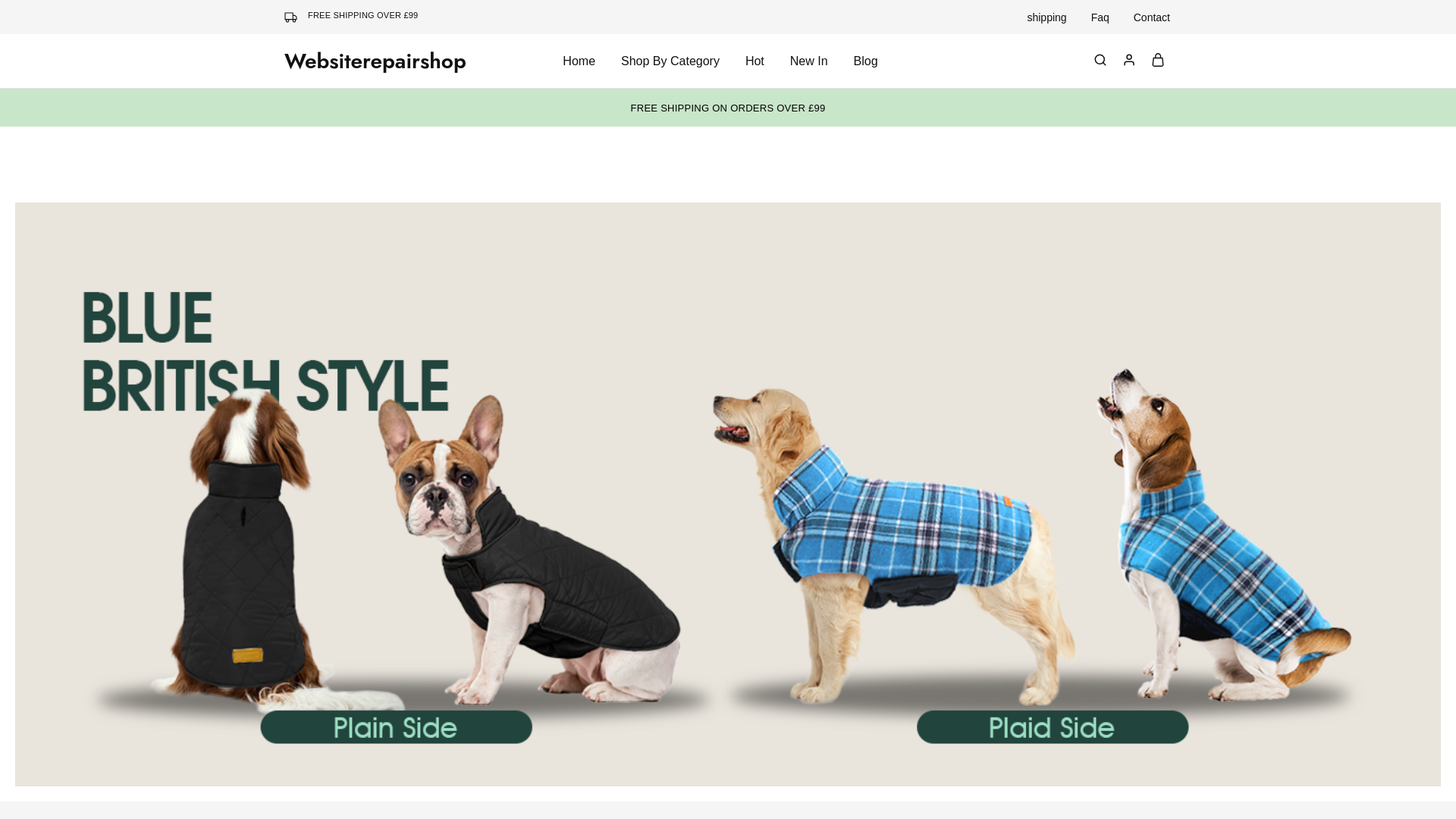 website screenshot of https://websiterepairshop.co.uk