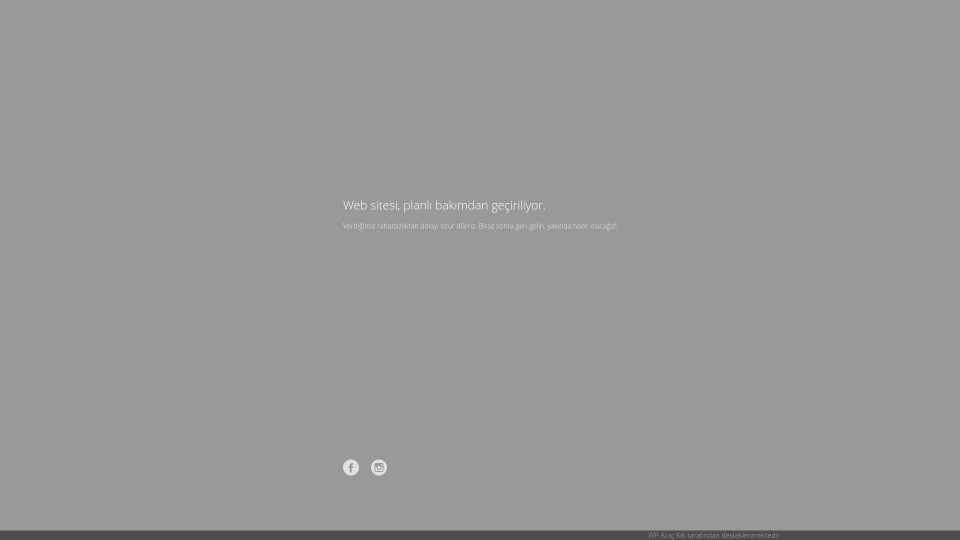 website screenshot of https://baskmeyvesulari.com/