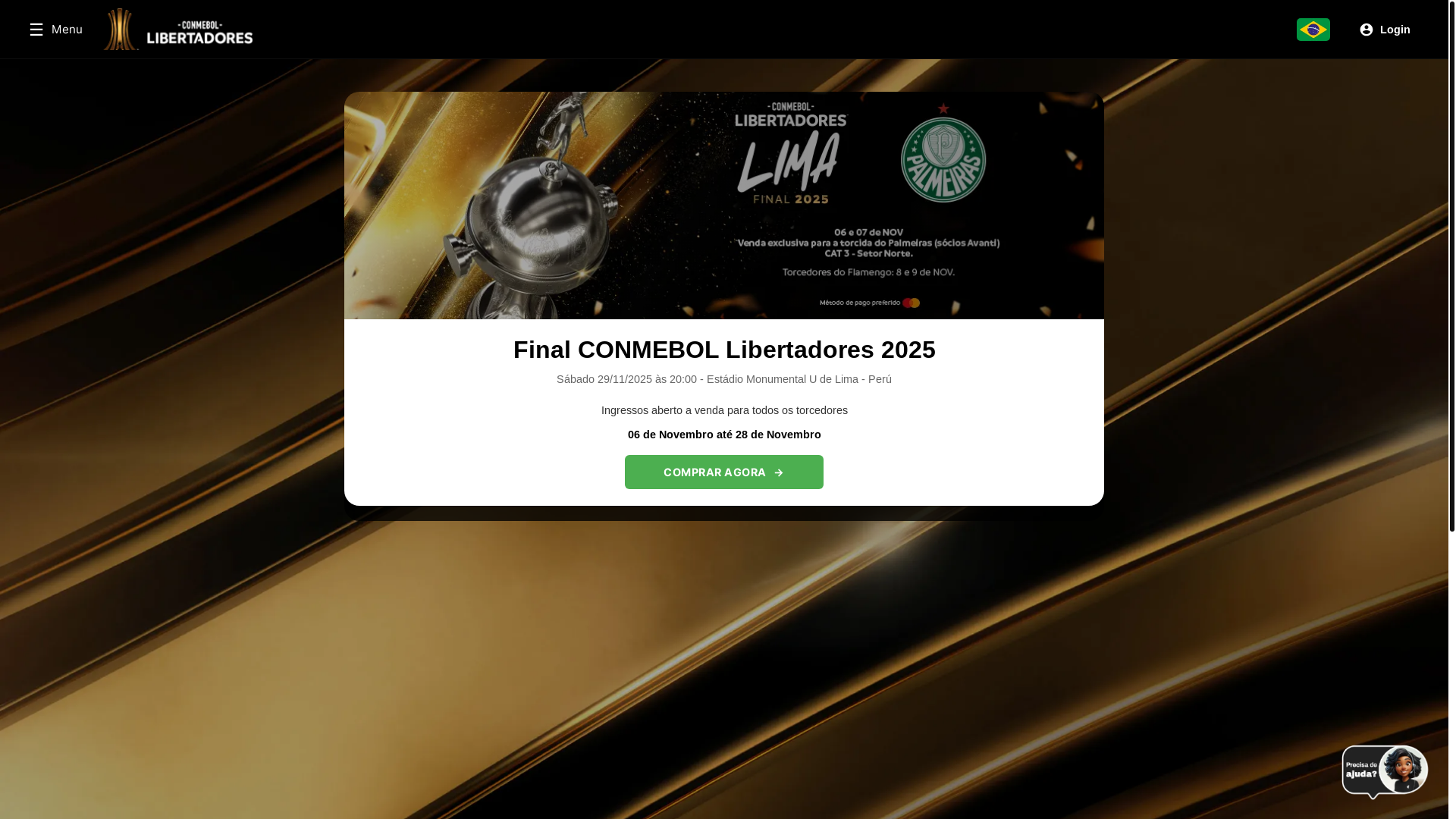 website screenshot of https://libertadores.fun/