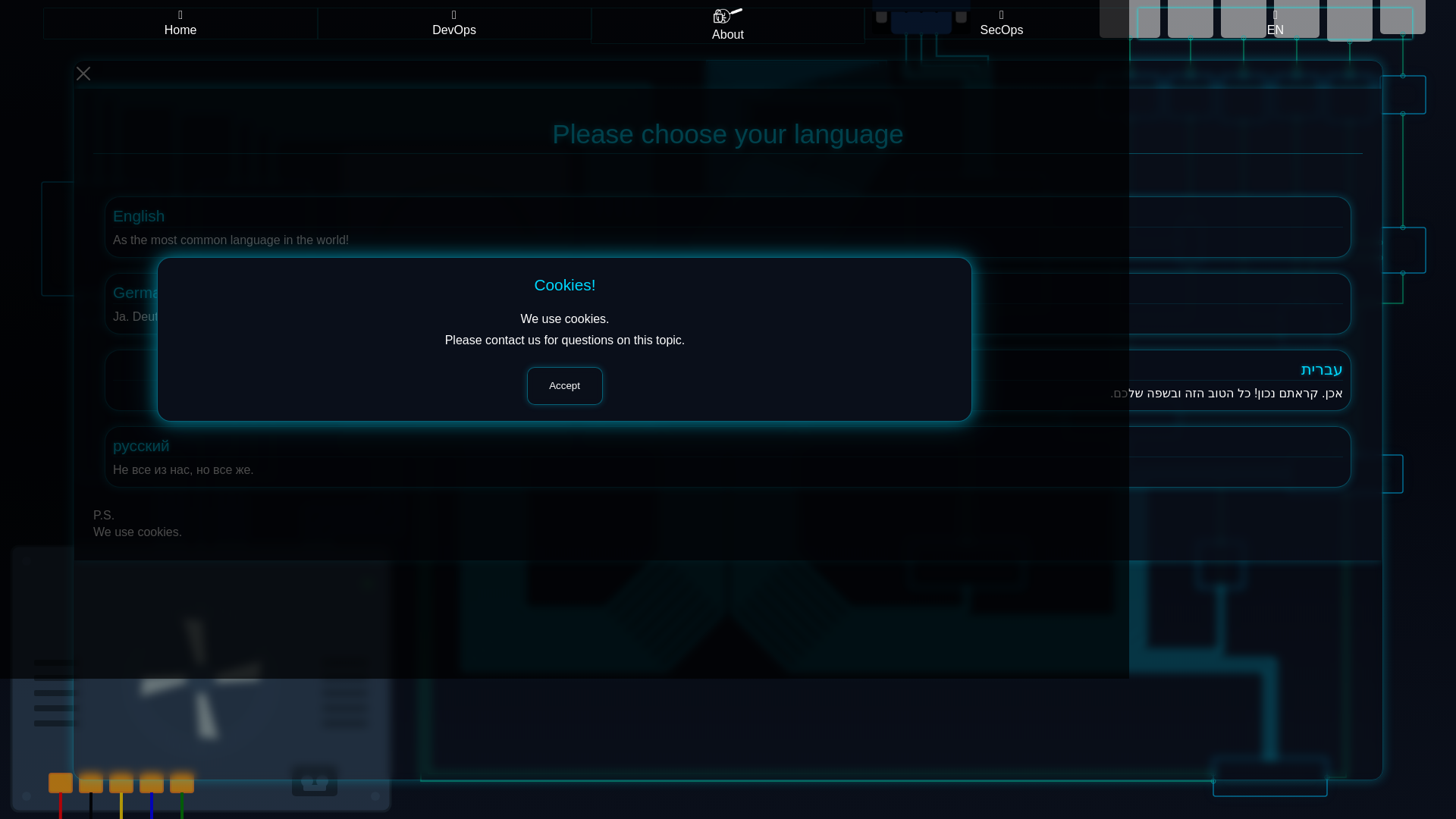 website screenshot of https://buggedsystem.com