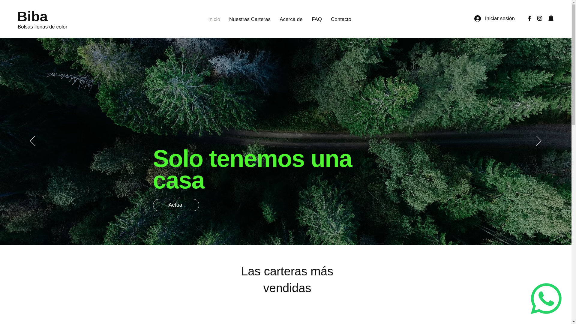 website screenshot of https://ushaperu.com/