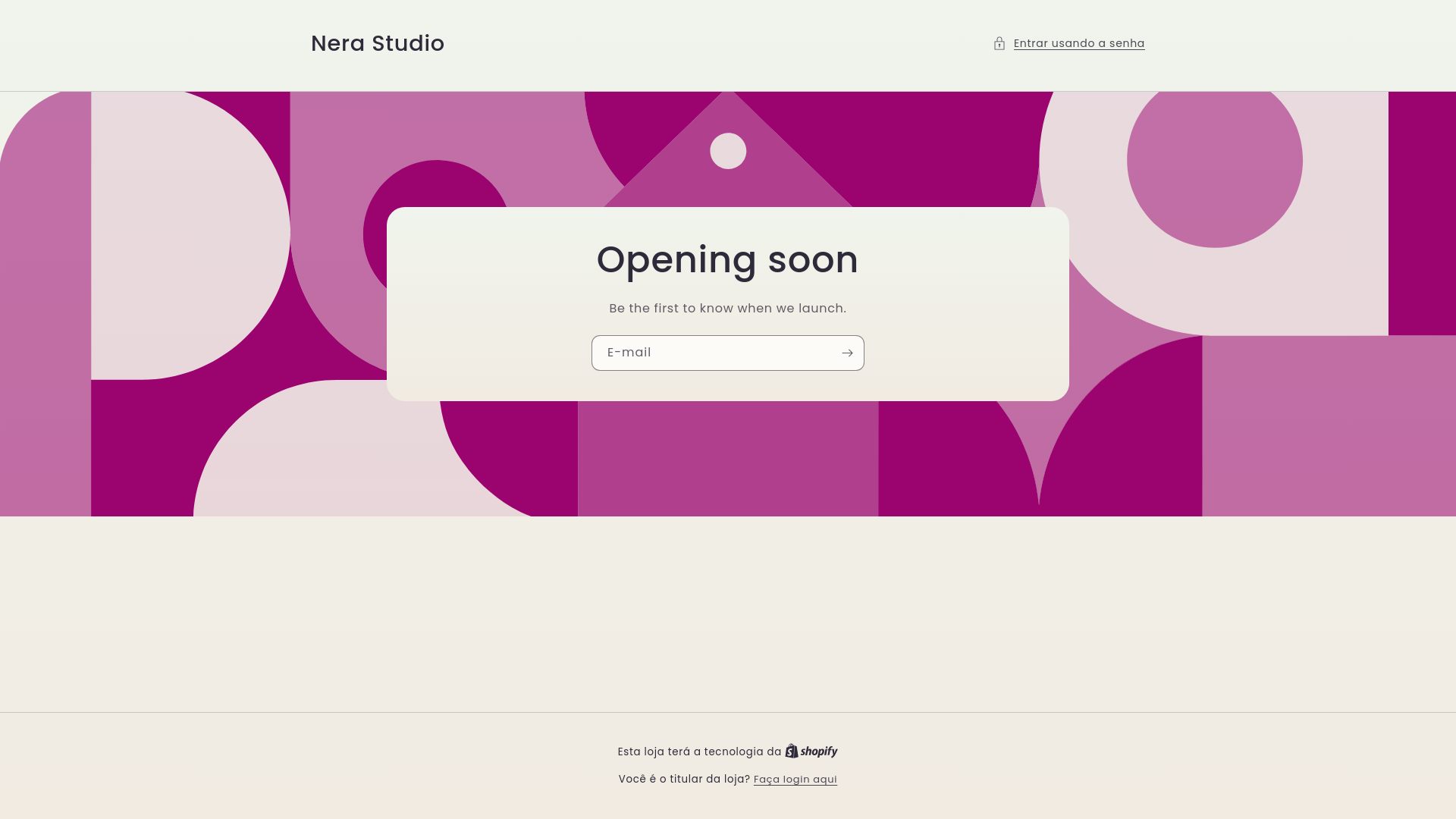 website screenshot of https://nerastudio.store/