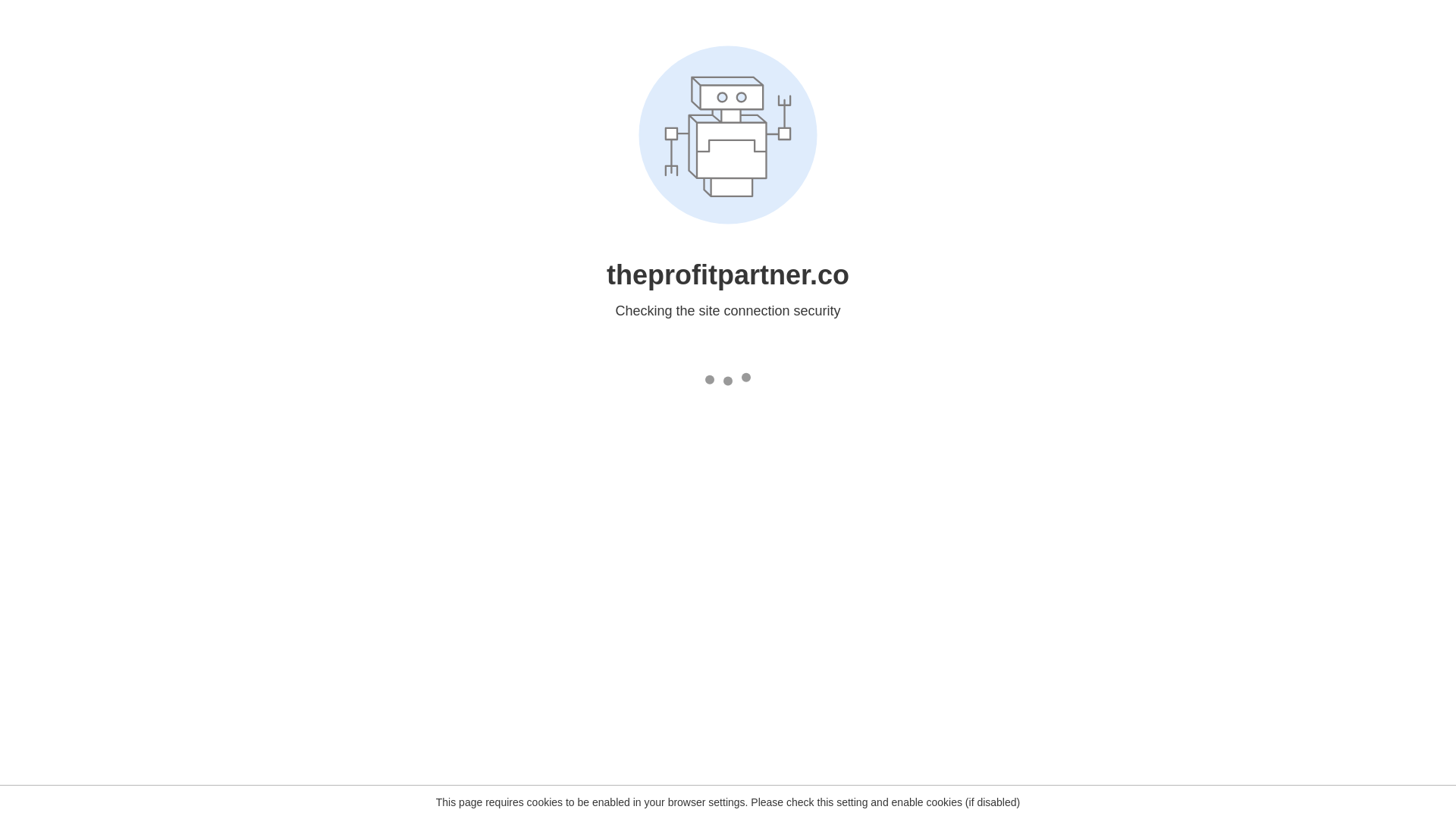 website screenshot of https://theprofitpartner.co/