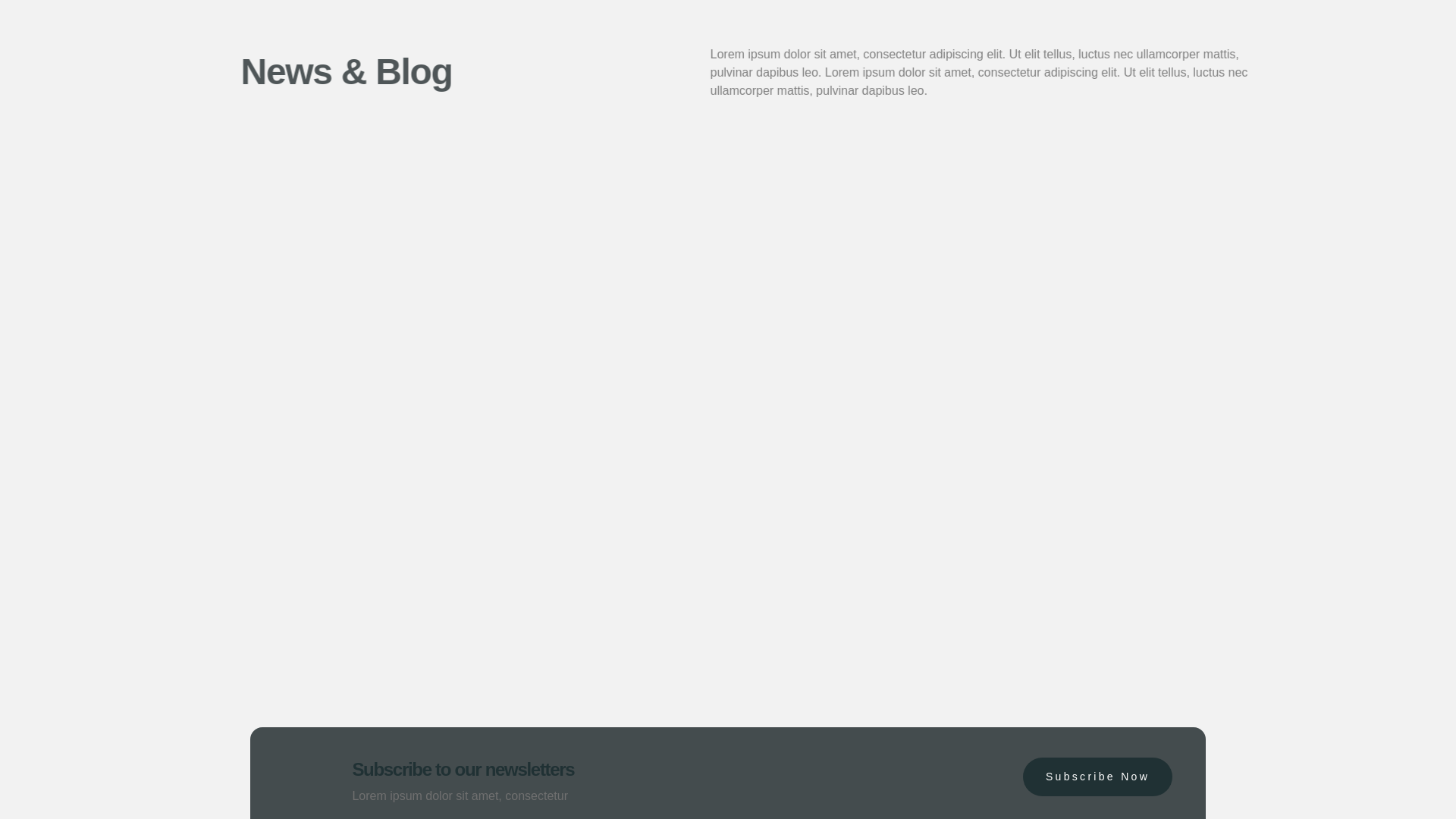 website screenshot of https://terapin-it.com/