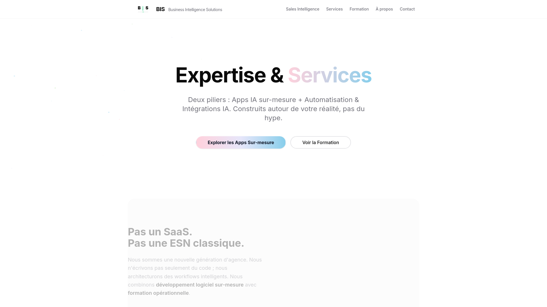 website screenshot of https://businessintelligence-system.com/