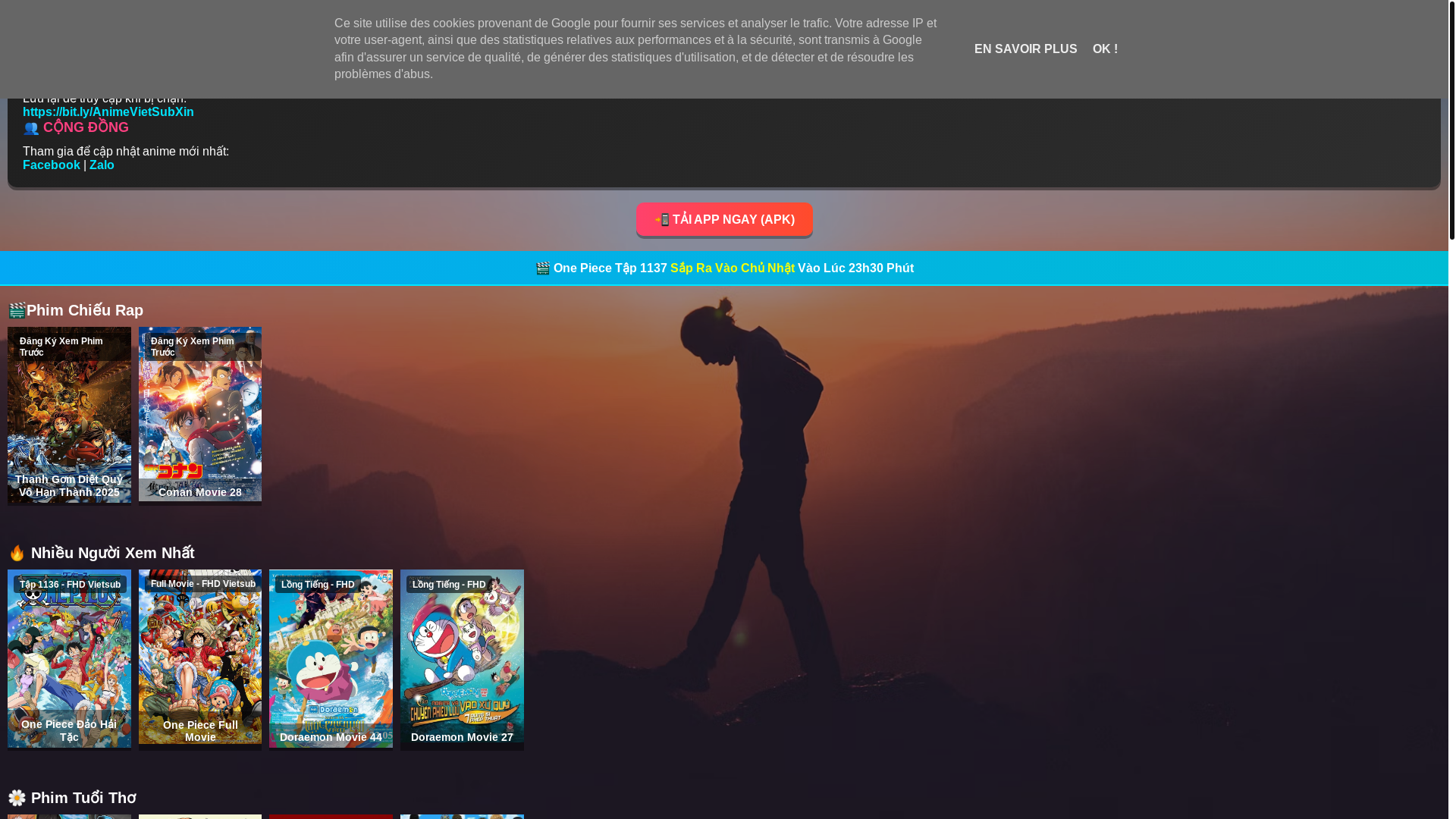 website screenshot of https://animevietsub.xin/