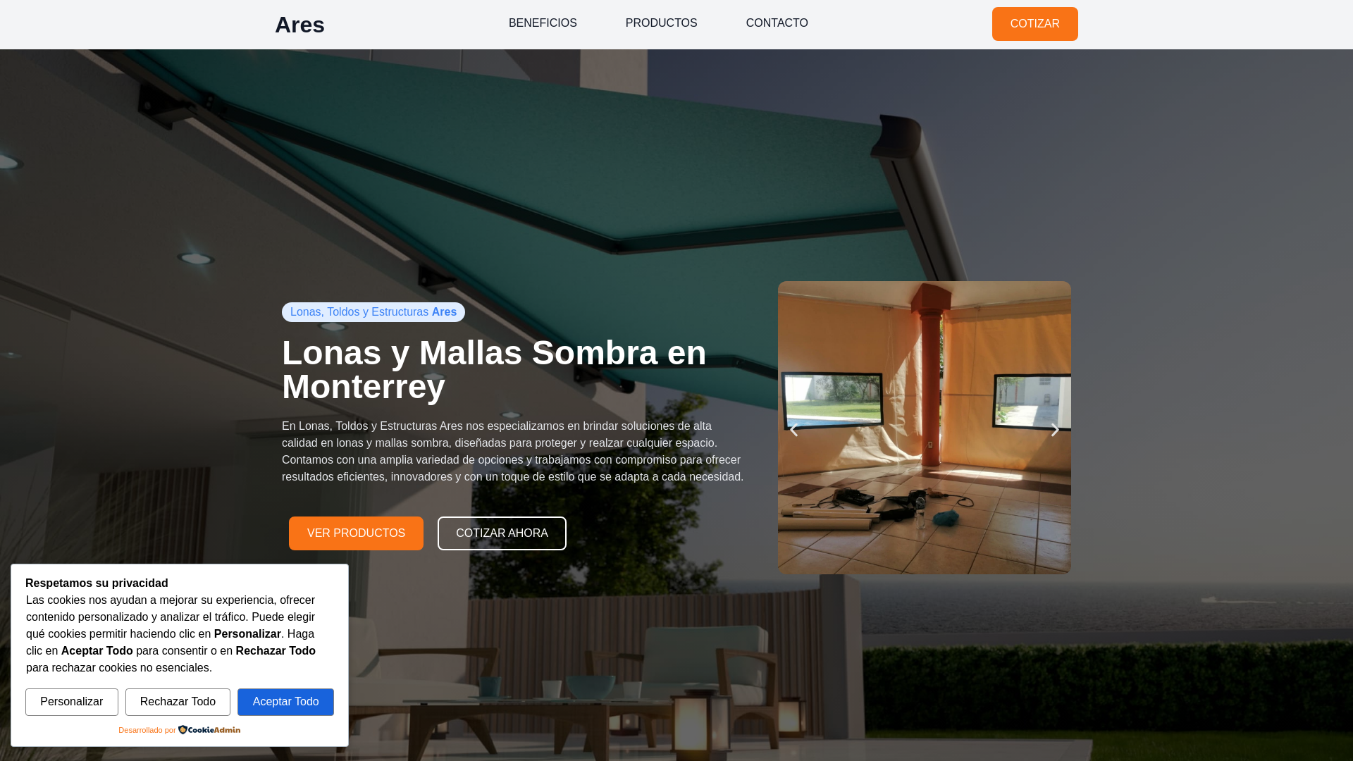 website screenshot of https://lonasares.com