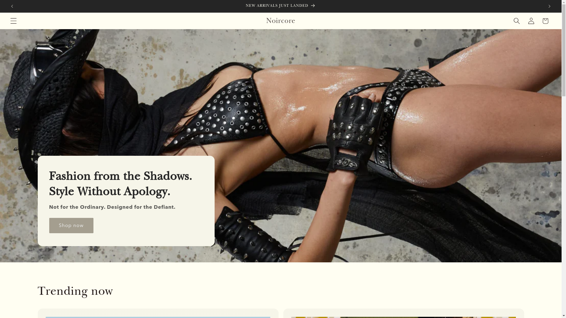 website screenshot of https://noircore.vip/
