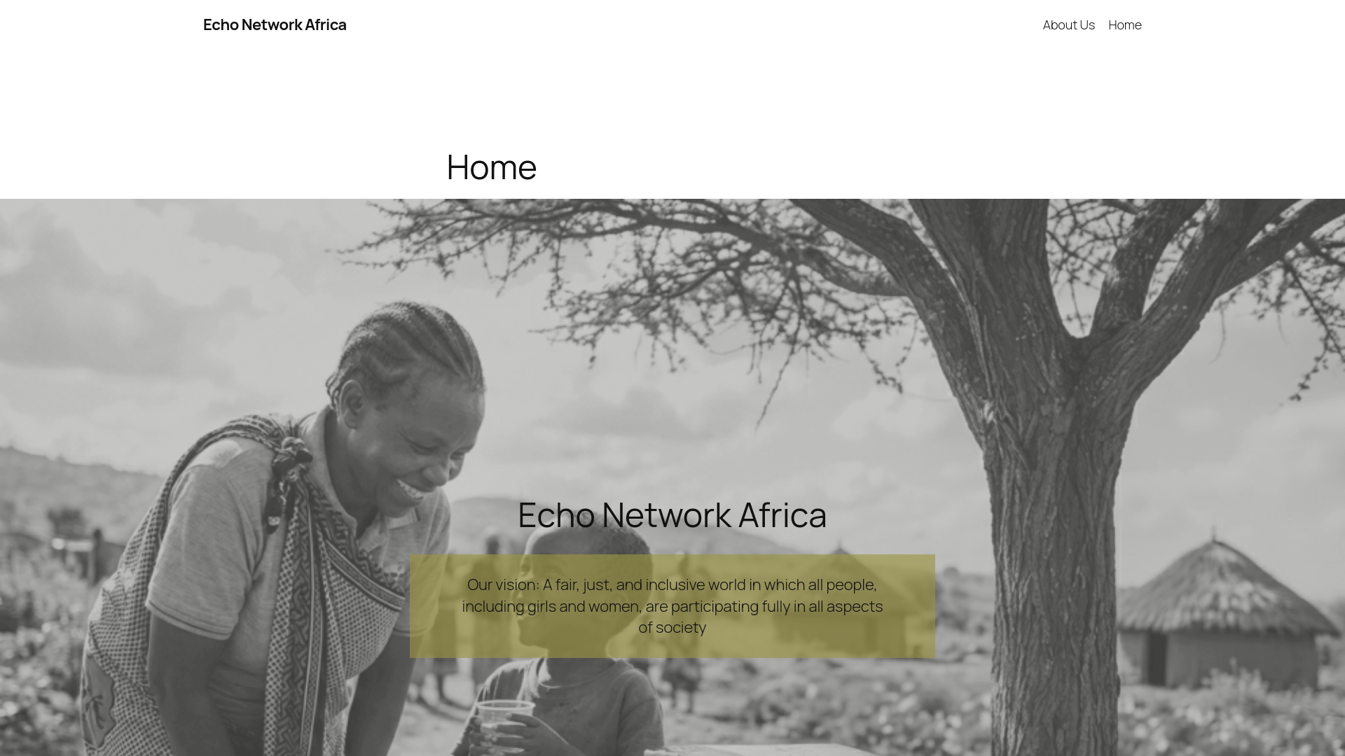 website screenshot of https://echonetworkafrica.org