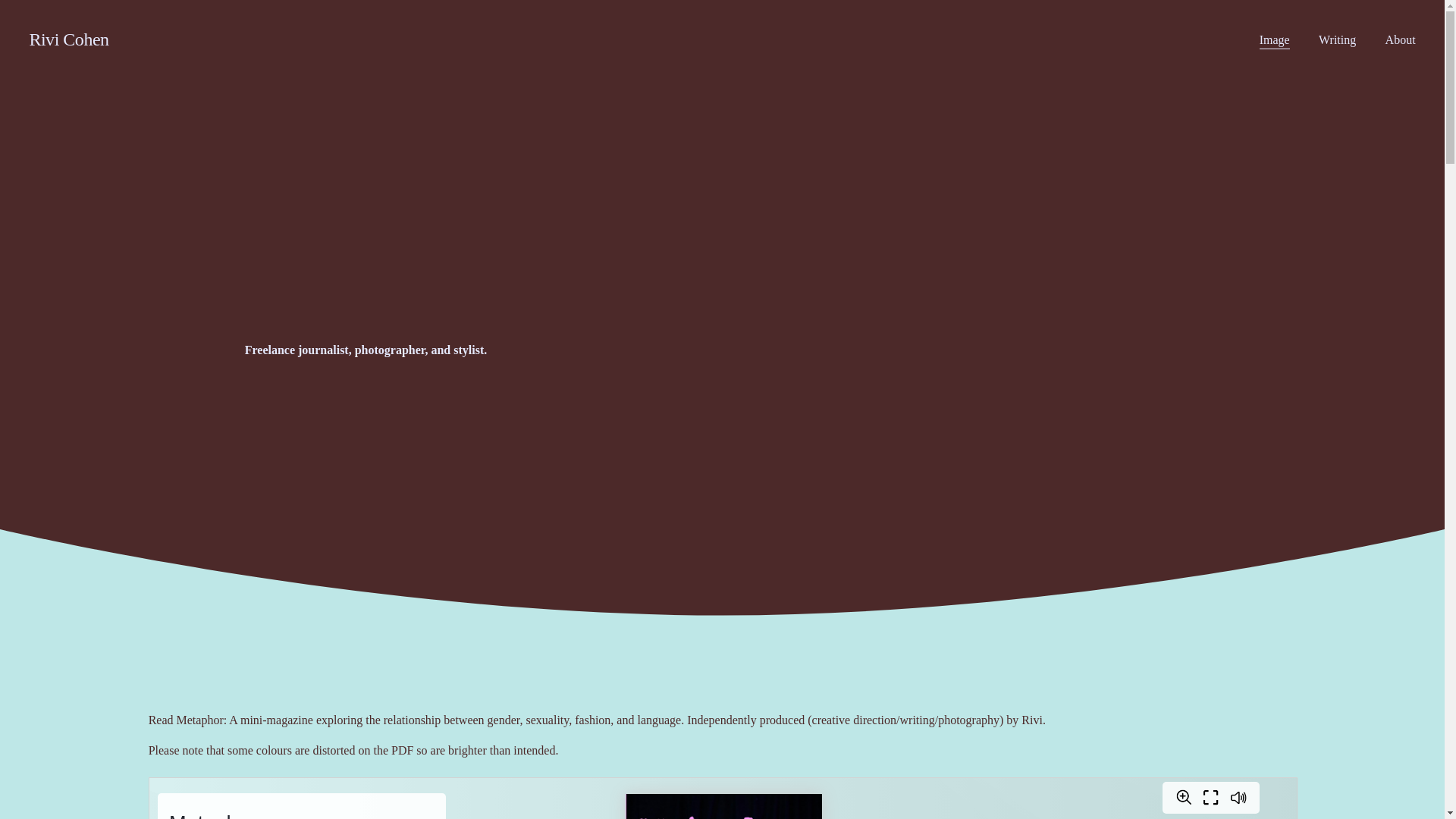 website screenshot of https://rivicohen.com/