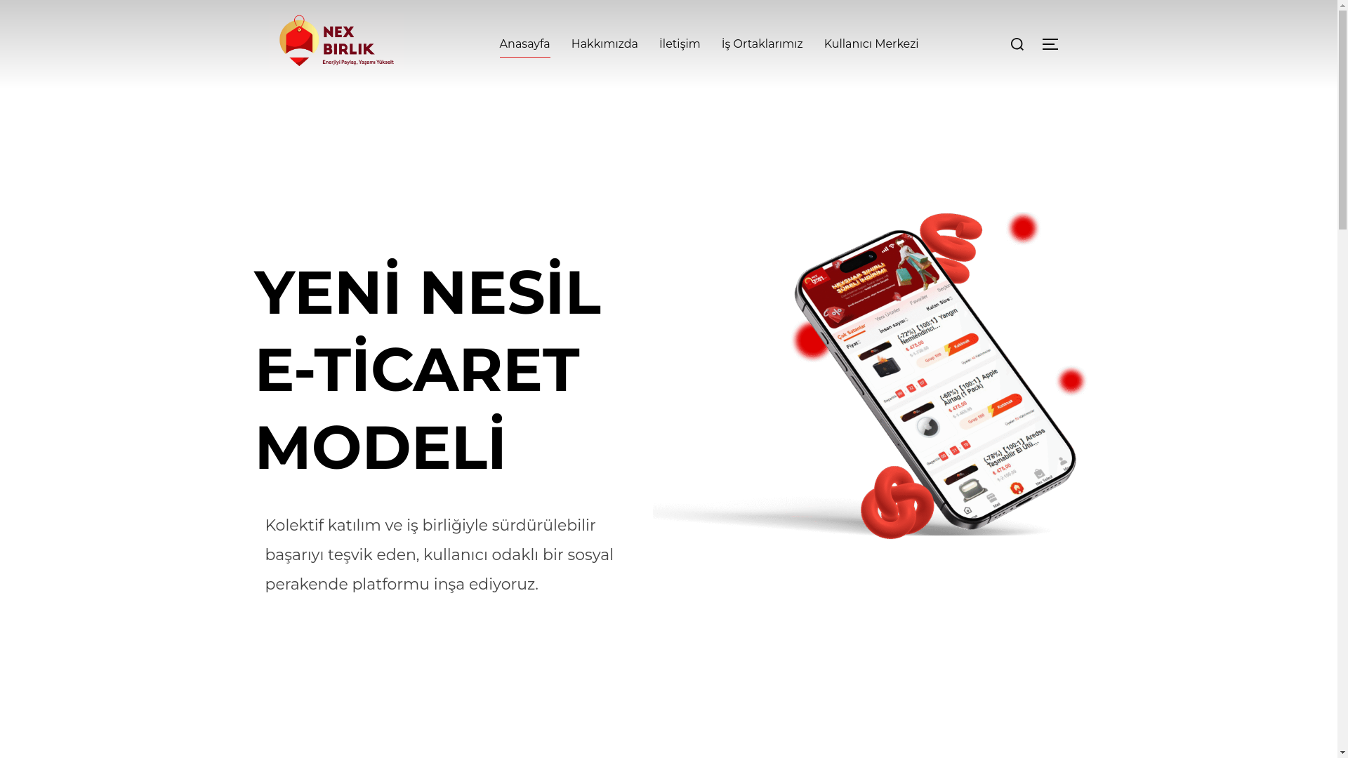 website screenshot of https://nexbirlik.com/
