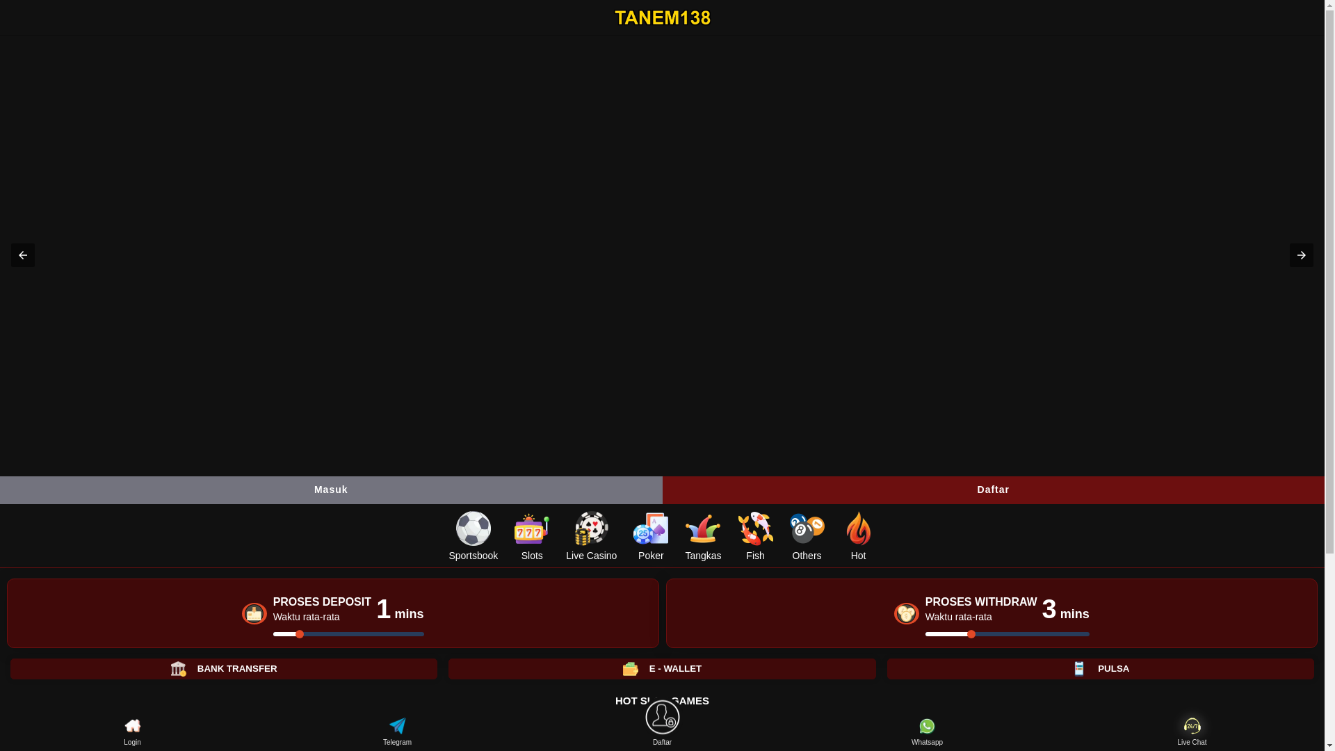 website screenshot of https://tanem138.net/